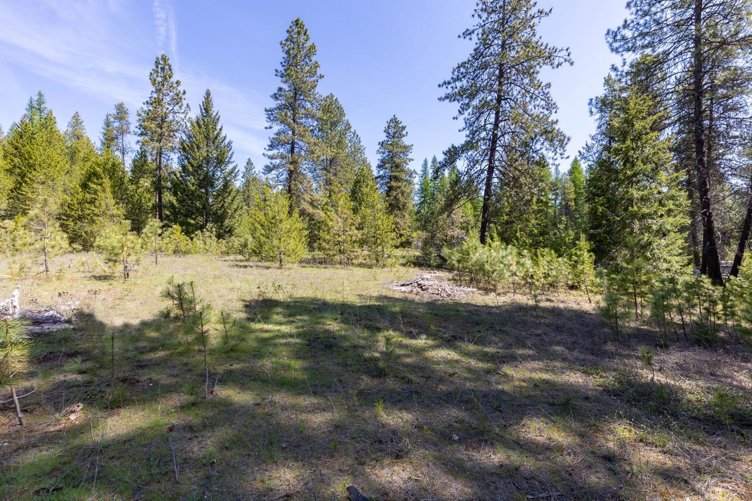 271 Deer Valley Ln - Photo 9