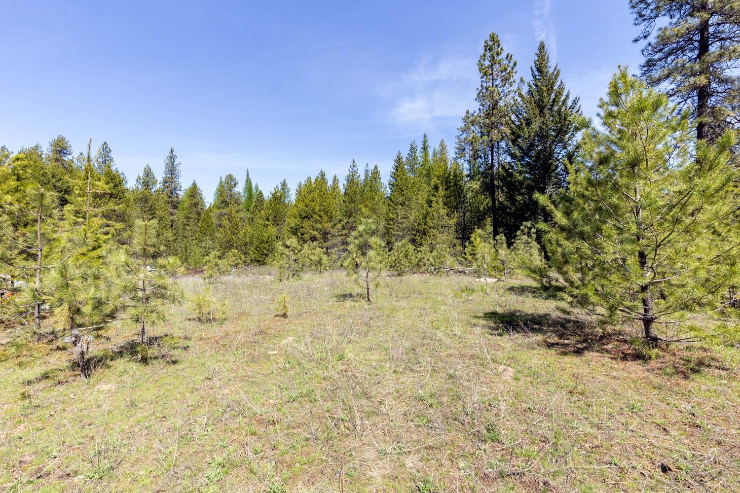 271 Deer Valley Ln - Photo 10