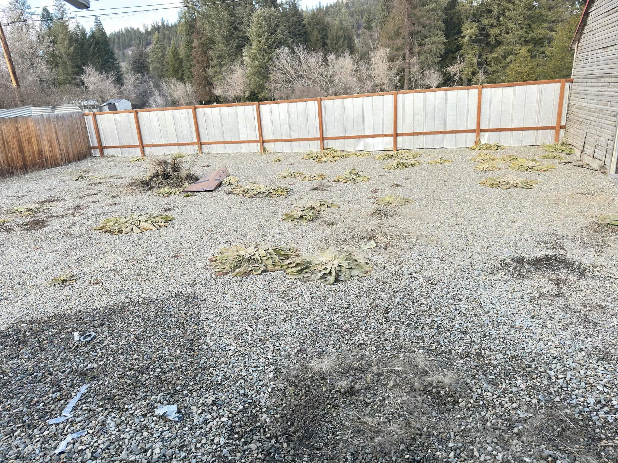 306 Houghton St - Photo 17