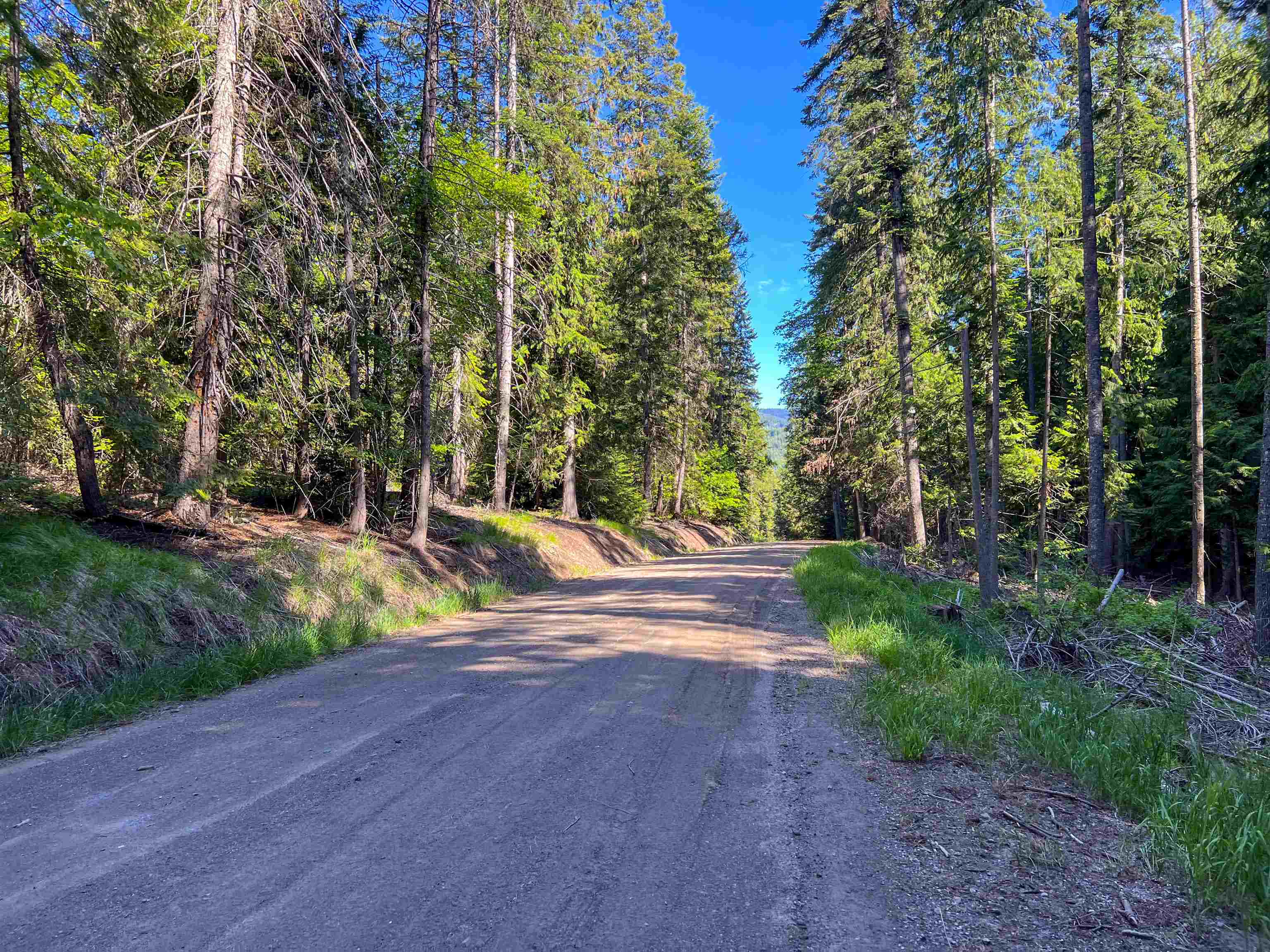 1188 Randall Rd - Photo 38