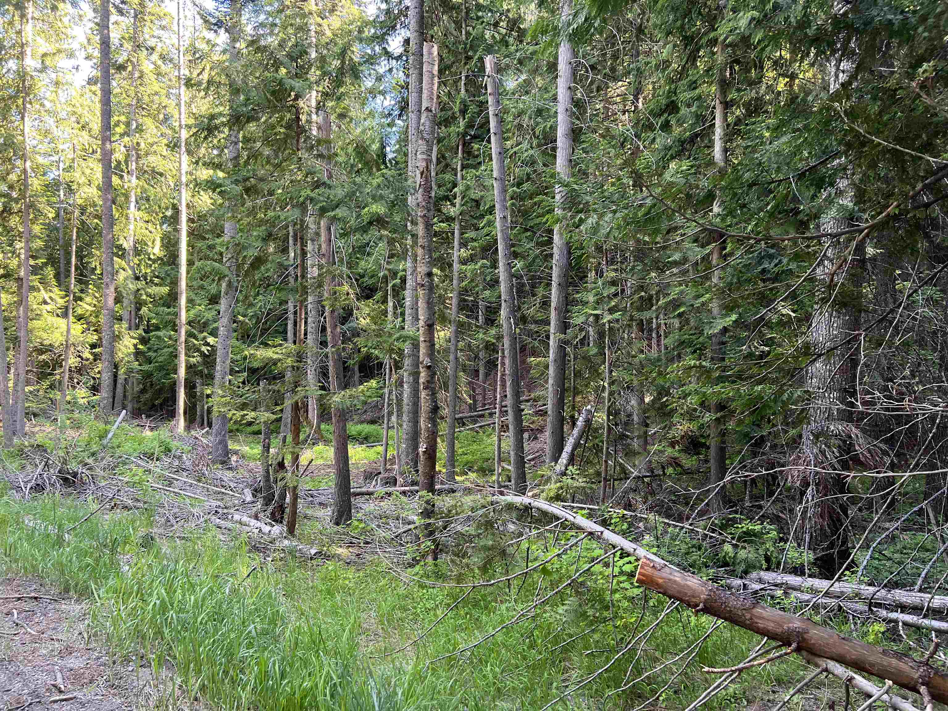 1188 Randall Rd - Photo 44