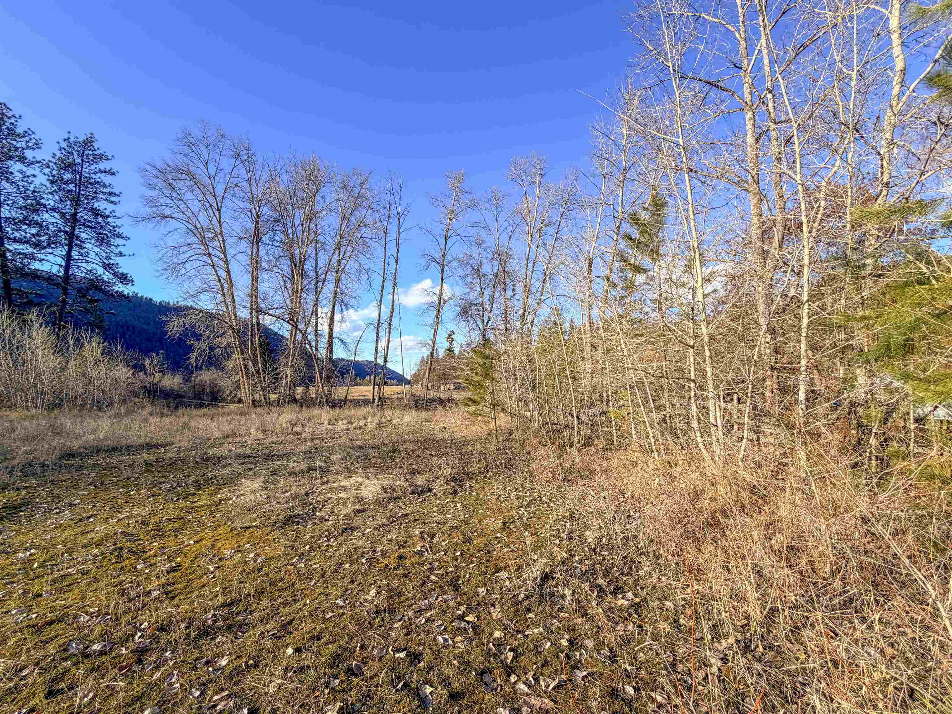 32X Aladdin Rd - Photo 17