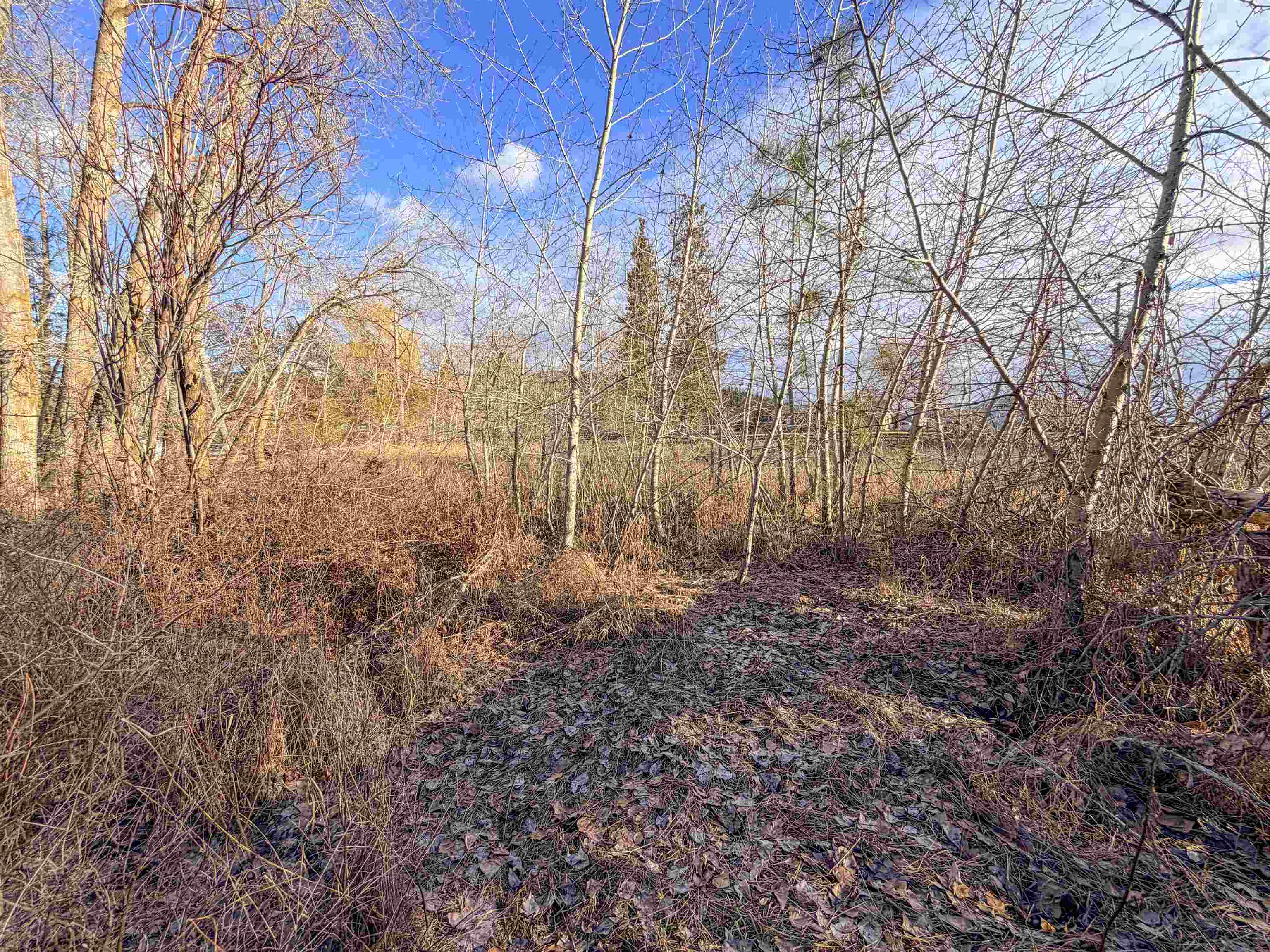 32X Aladdin Rd - Photo 21