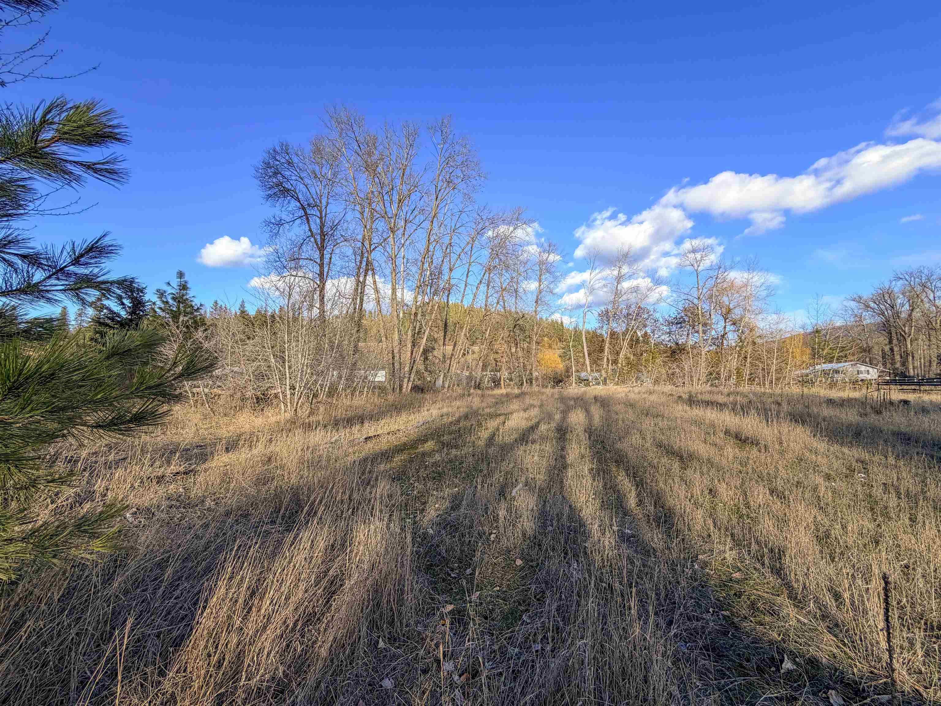 32X Aladdin Rd - Photo 24