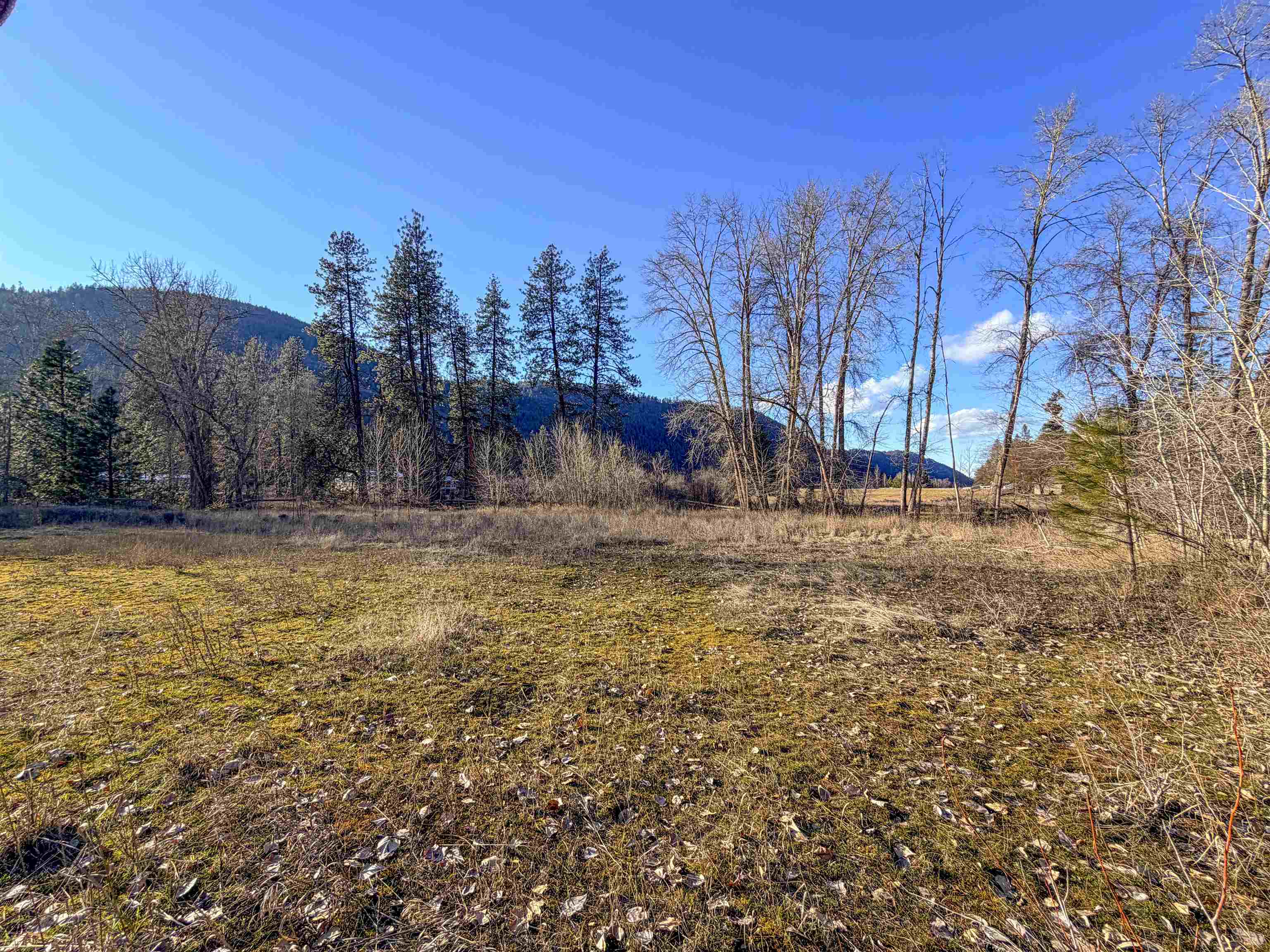 32X Aladdin Rd - Photo 5