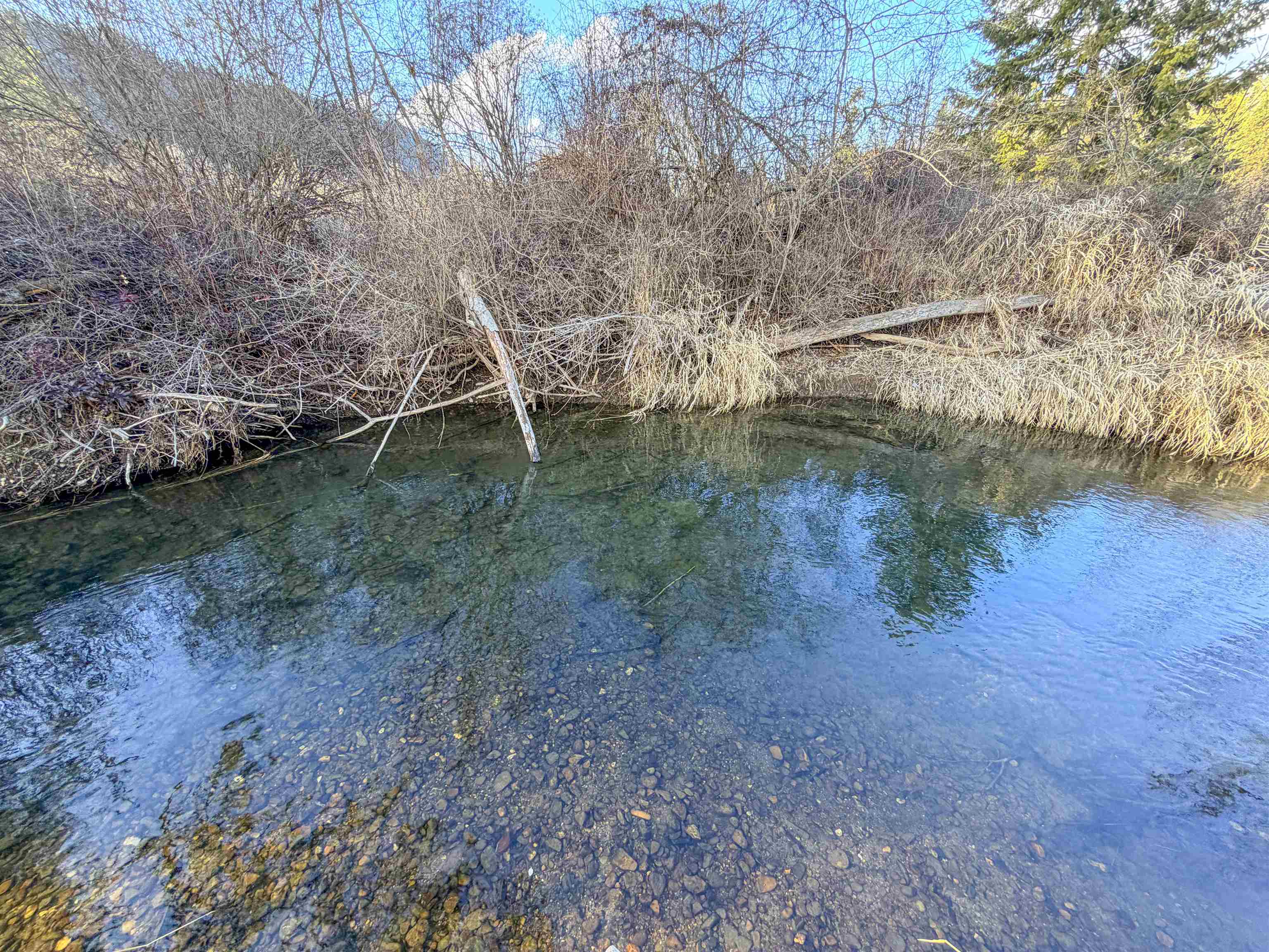32X Aladdin Rd - Photo 10