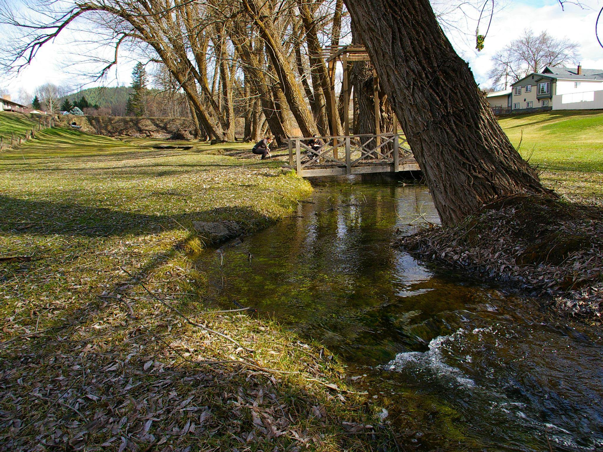 157 Garden Homes Div - Photo 43