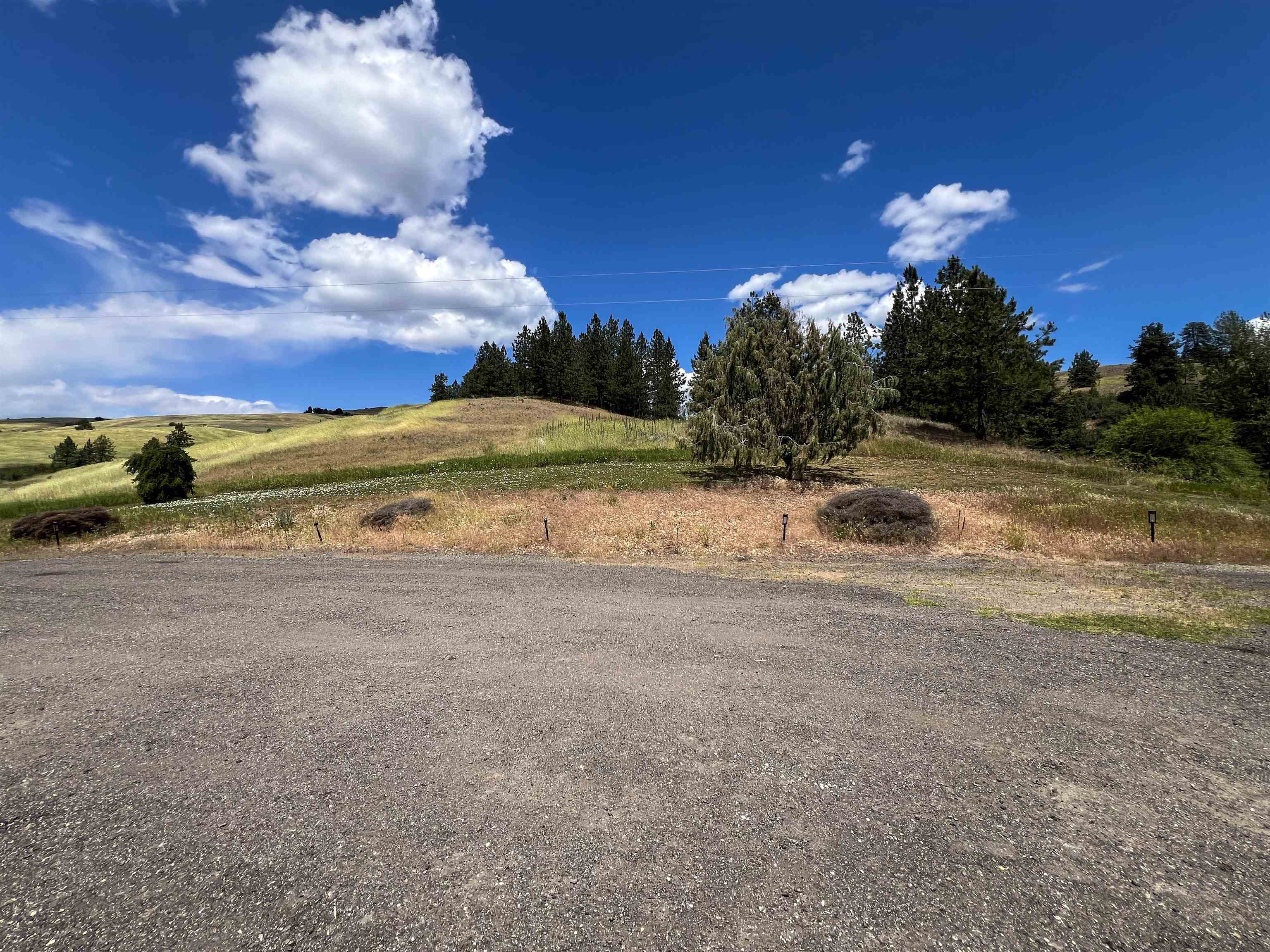598 N 395 Hwy - Photo 37