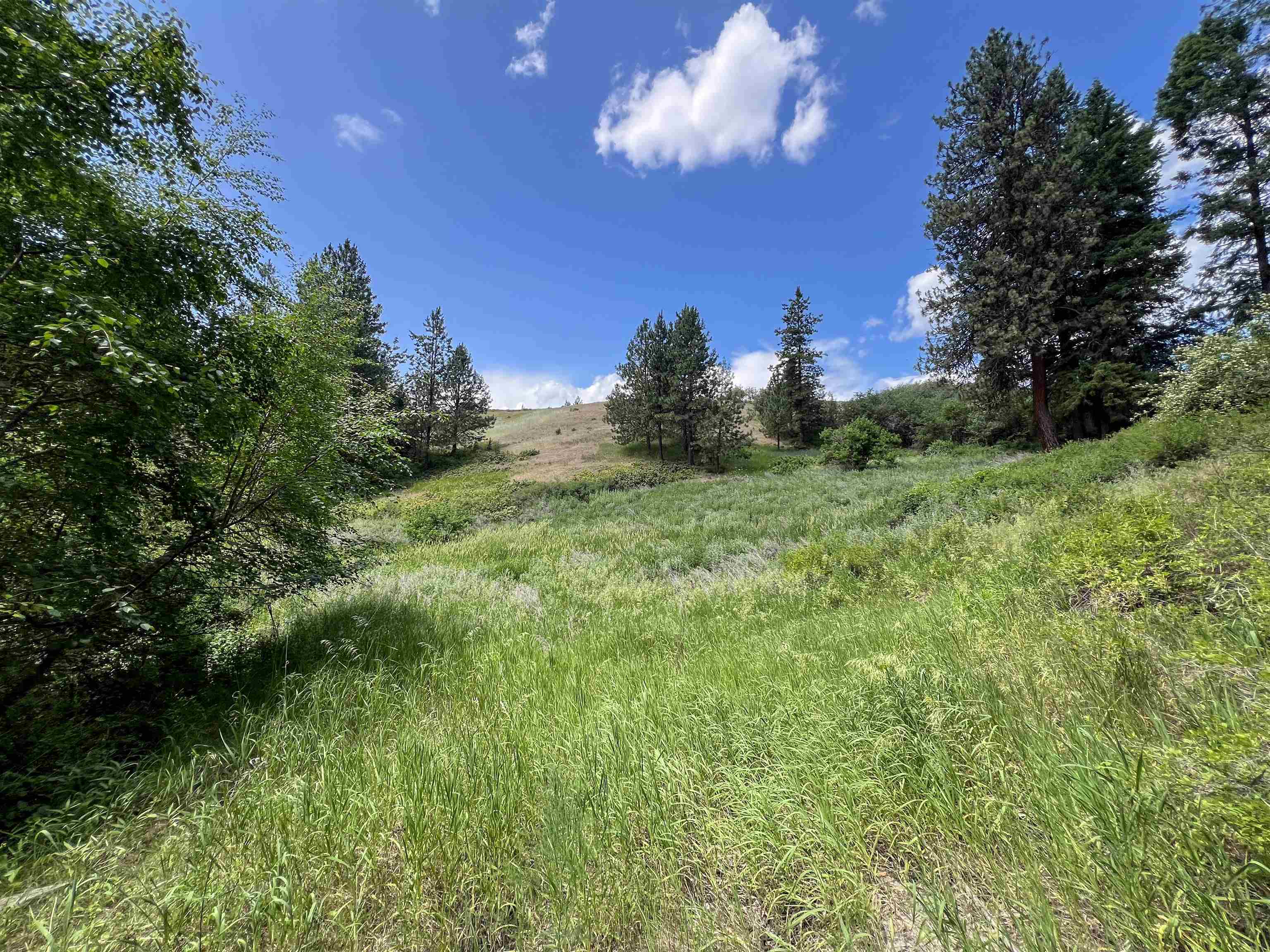 598 N 395 Hwy - Photo 49