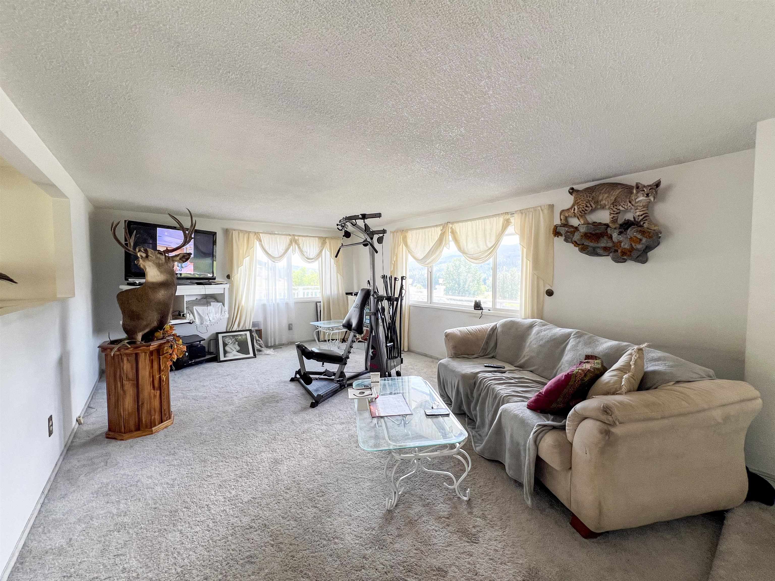 598 N 395 Hwy - Photo 6
