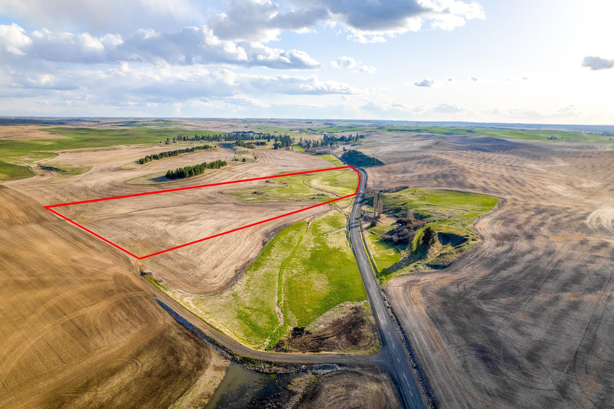 Lot 2 NKA Cheney Spangle Rd - Photo 1