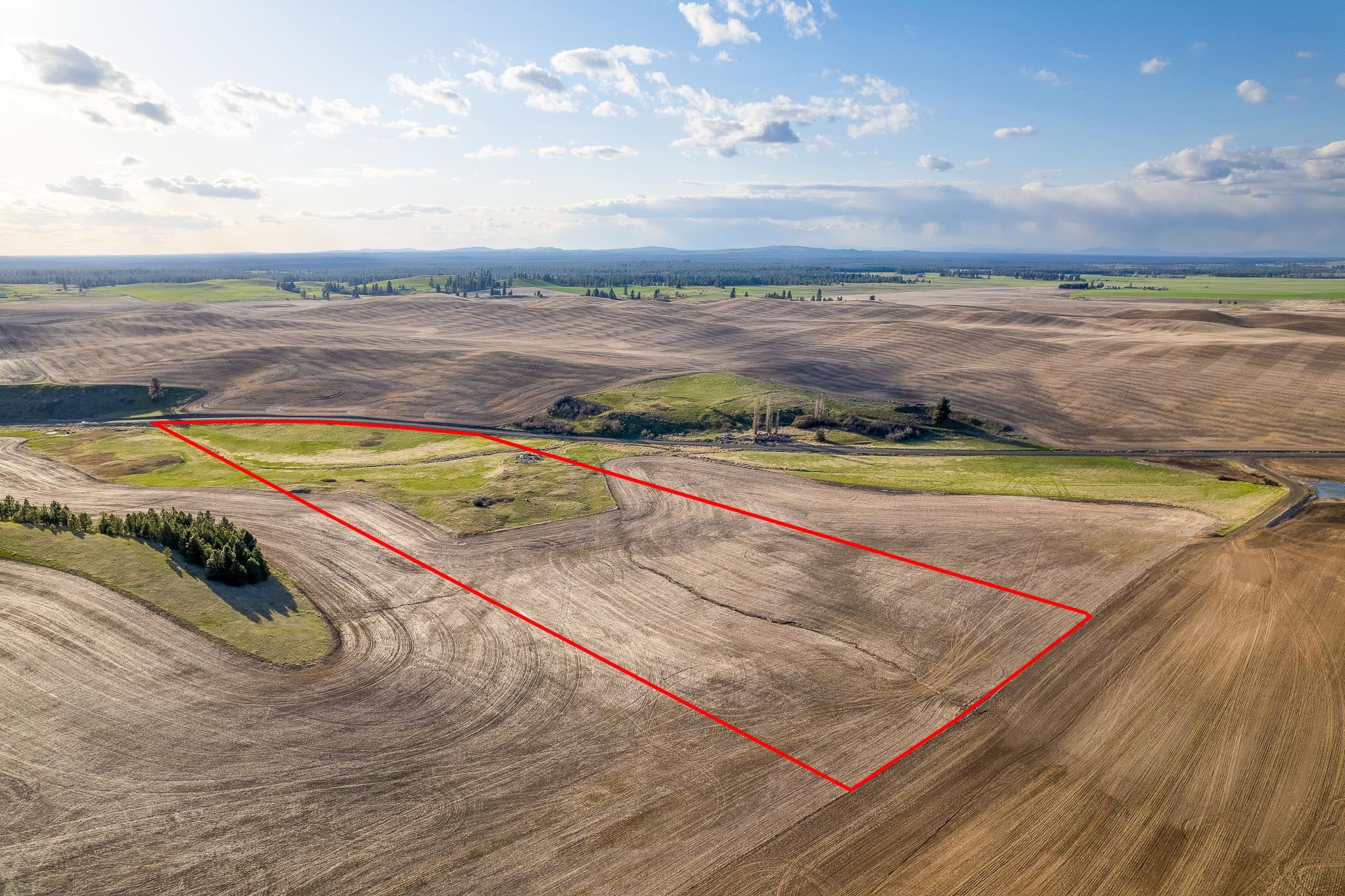 Lot 2 NKA Cheney Spangle Rd - Photo 2