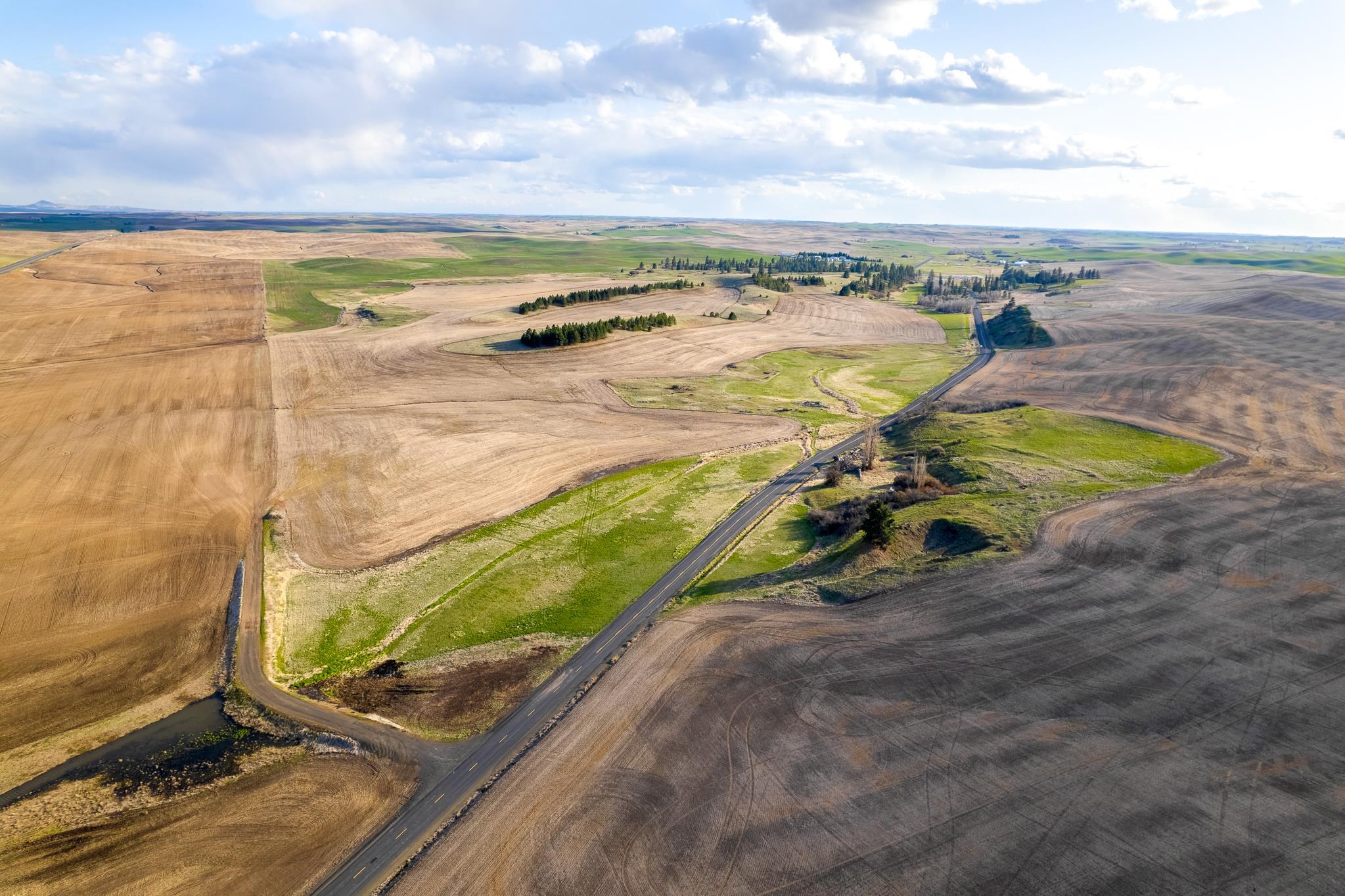 Lot 2 NKA Cheney Spangle Rd - Photo 11
