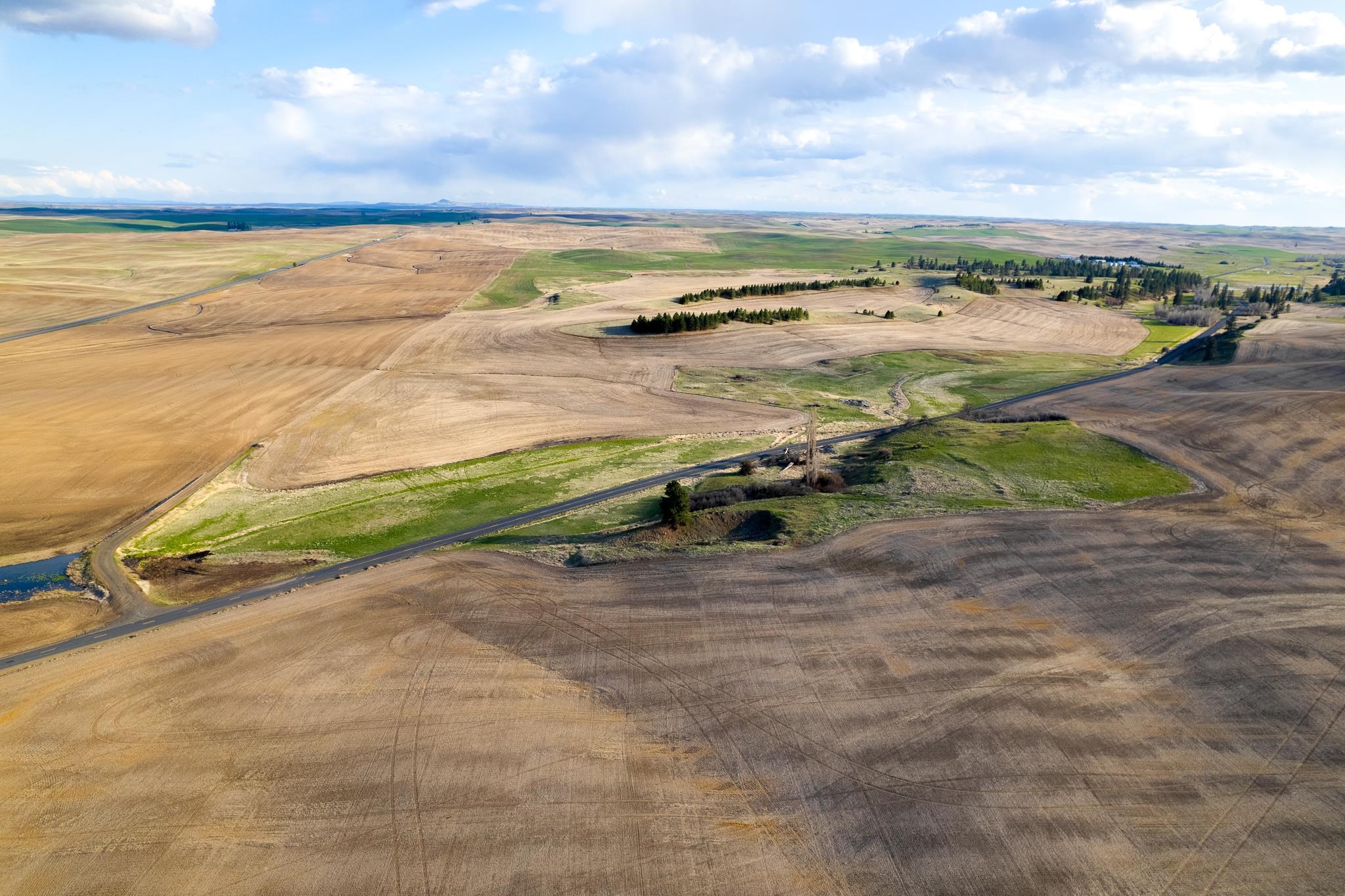 Lot 2 NKA Cheney Spangle Rd - Photo 12