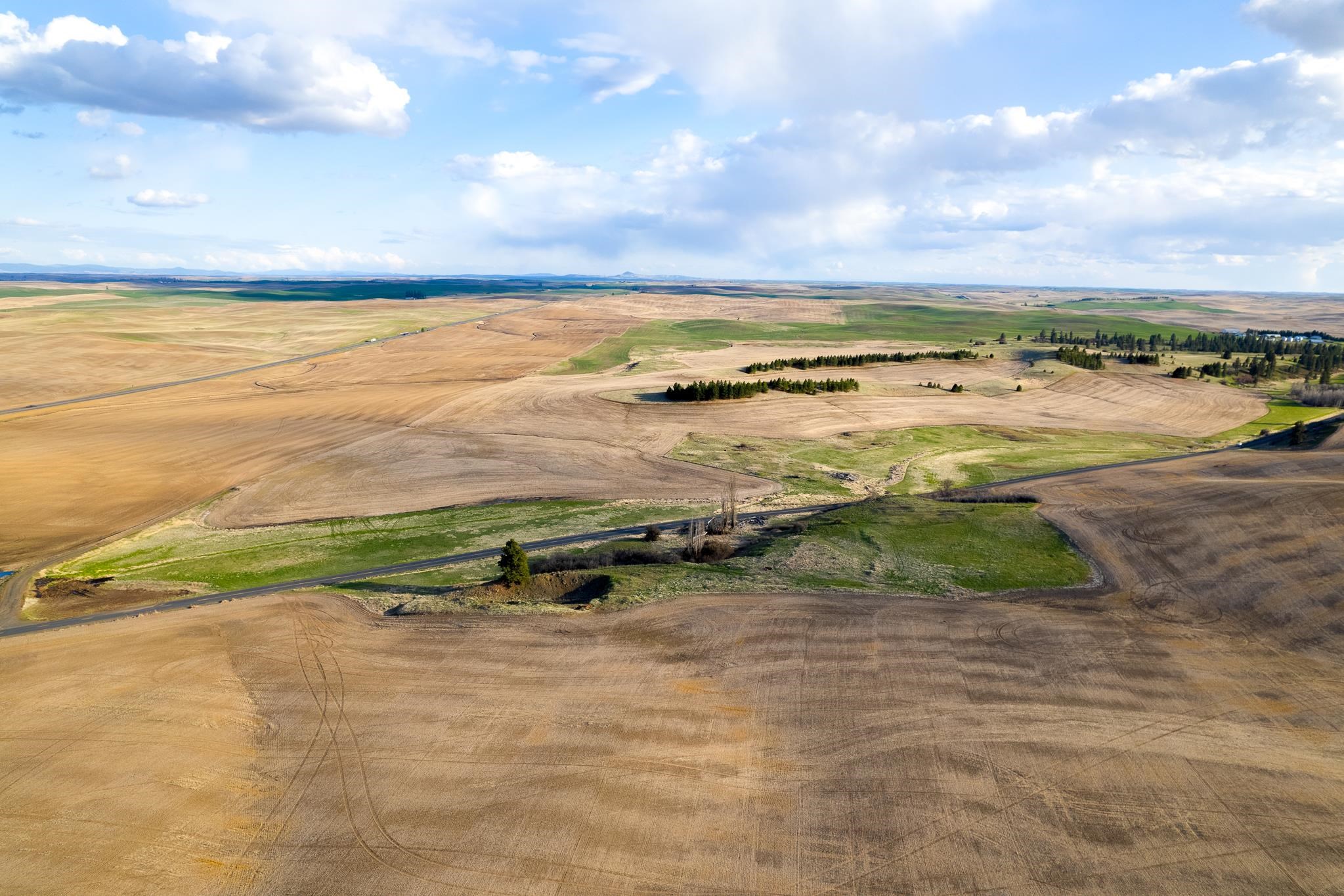 Lot 2 NKA Cheney Spangle Rd - Photo 13