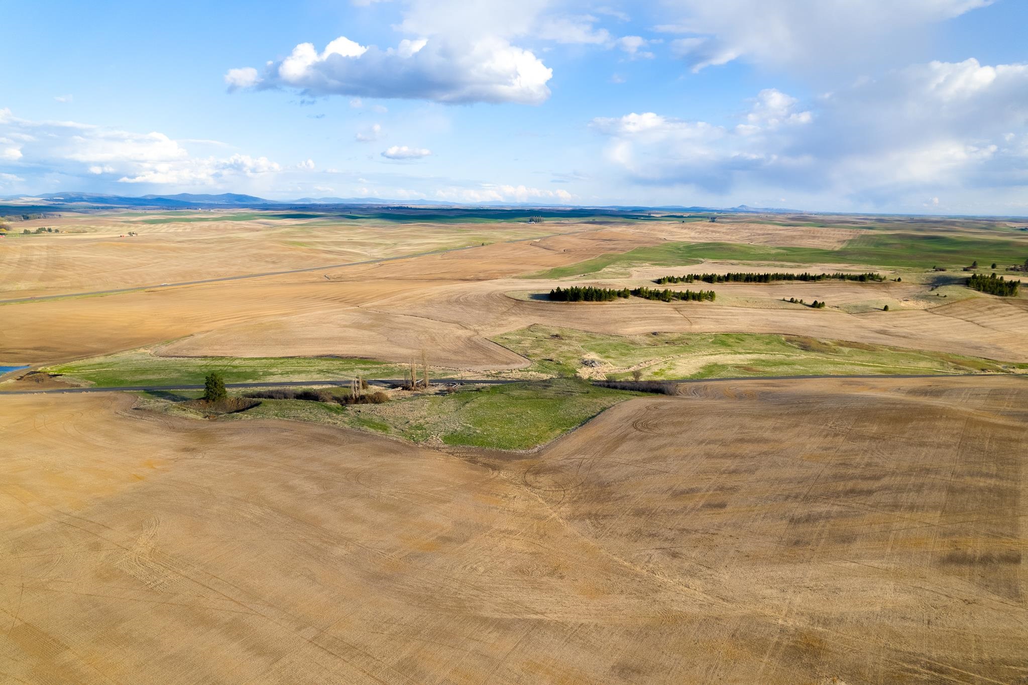 Lot 2 NKA Cheney Spangle Rd - Photo 14