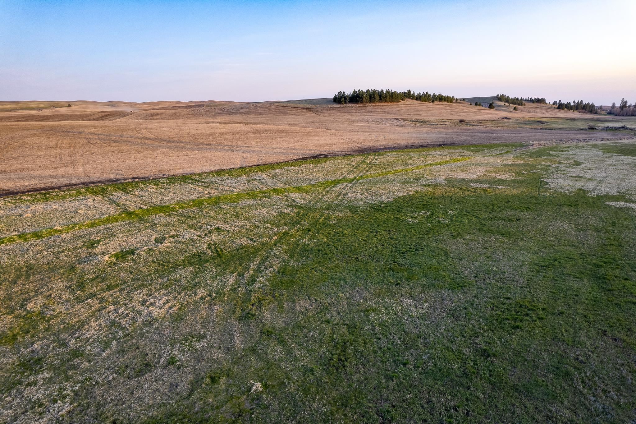 Lot 2 NKA Cheney Spangle Rd - Photo 19