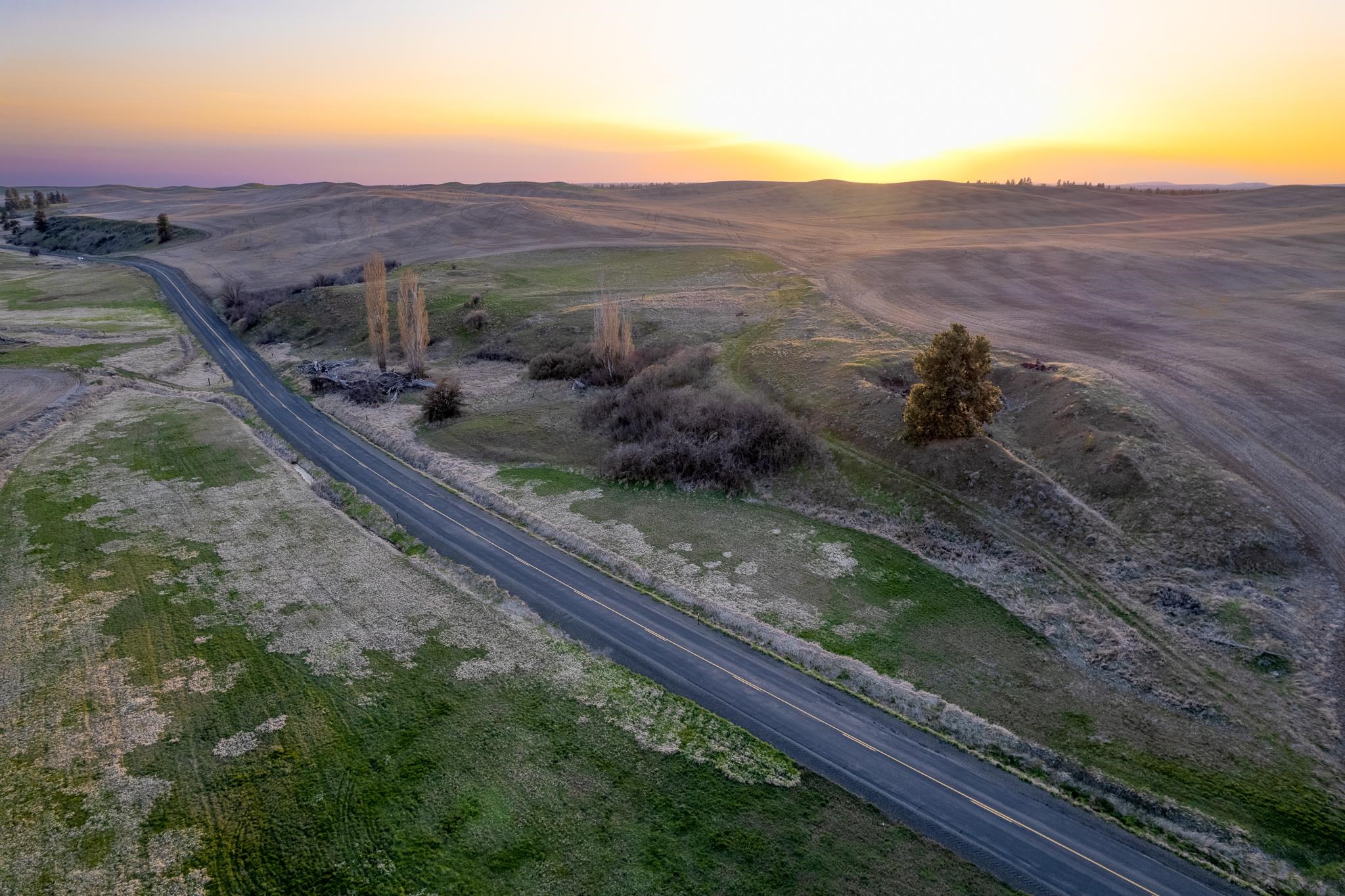 Lot 2 NKA Cheney Spangle Rd - Photo 3