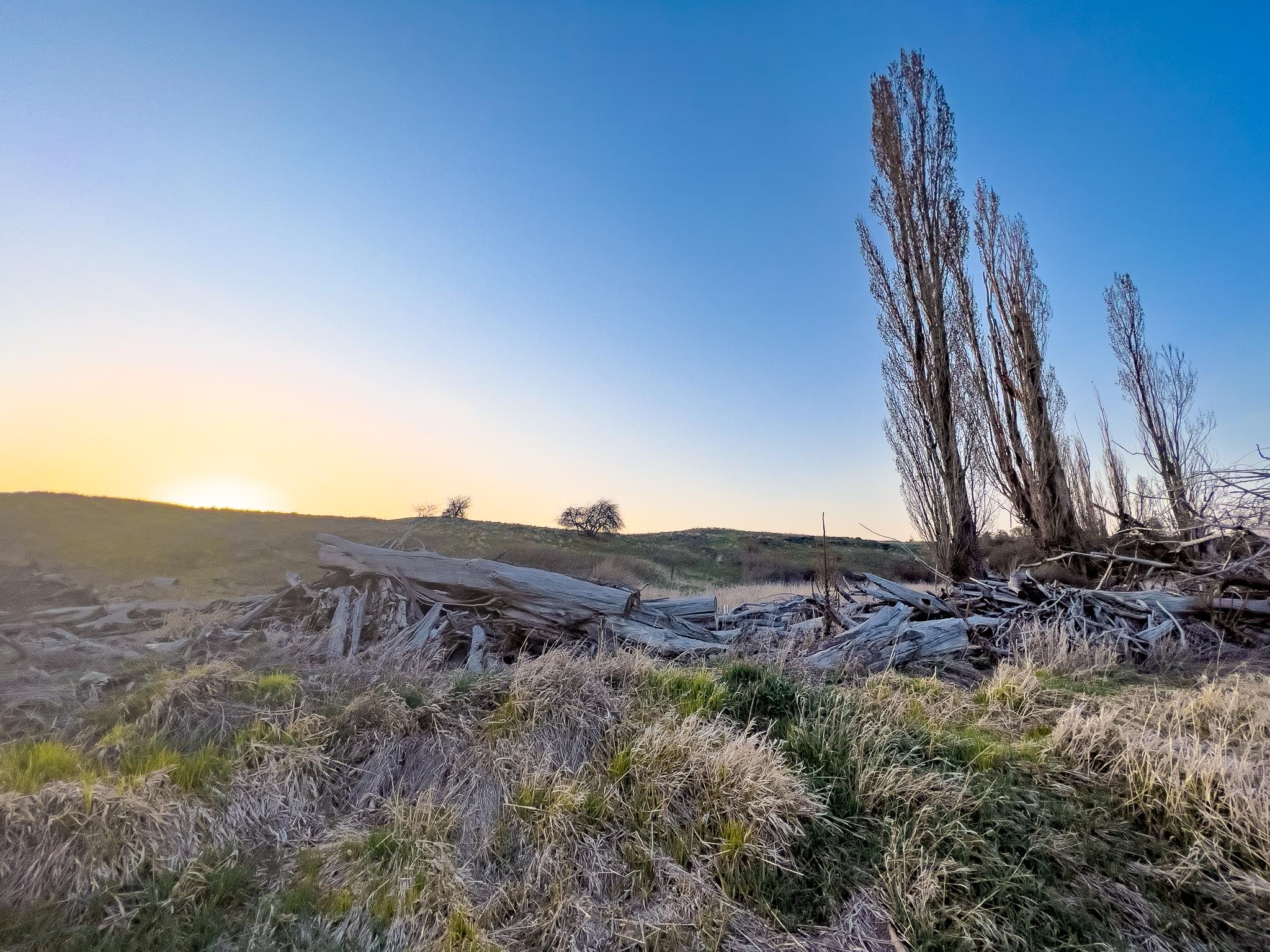 Lot 2 NKA Cheney Spangle Rd - Photo 25