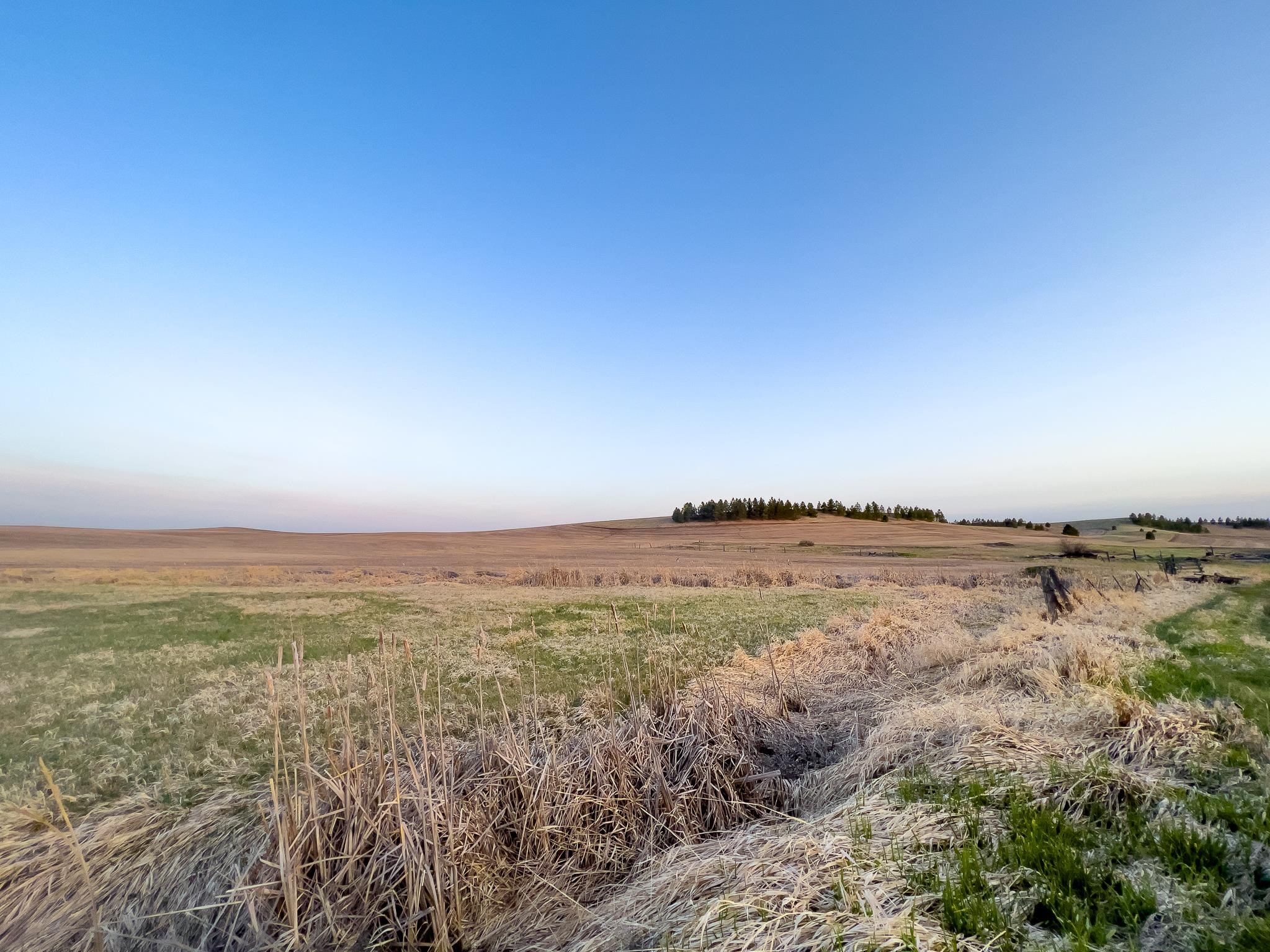 Lot 2 NKA Cheney Spangle Rd - Photo 26