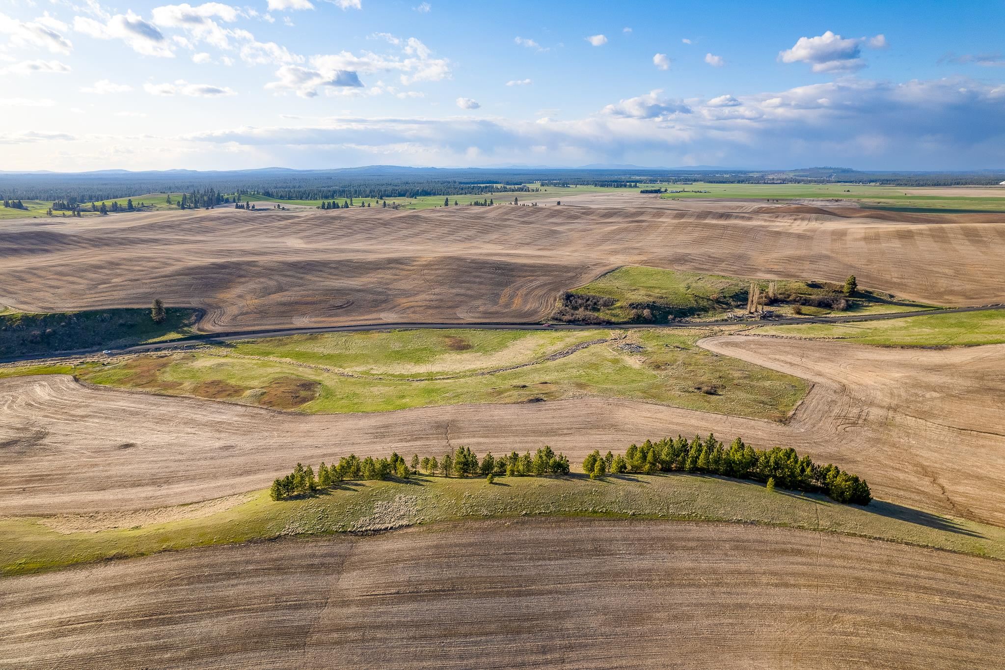 Lot 2 NKA Cheney Spangle Rd - Photo 5