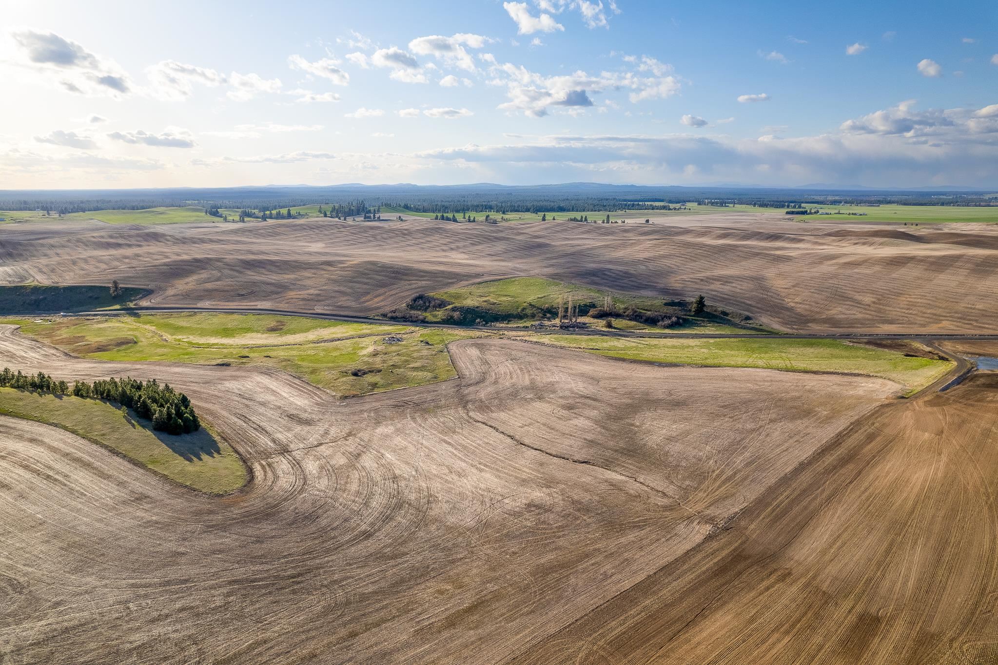 Lot 2 NKA Cheney Spangle Rd - Photo 6