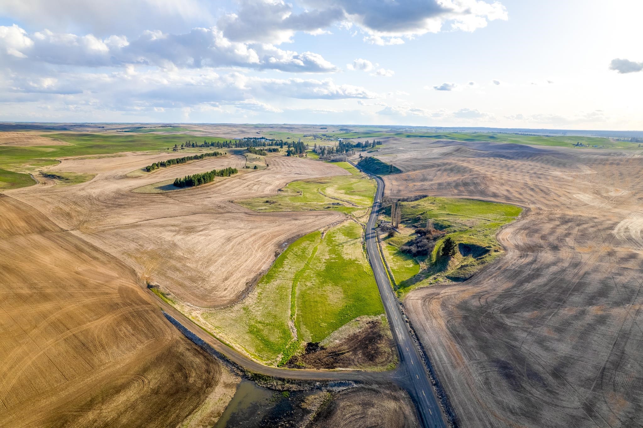 Lot 2 NKA Cheney Spangle Rd - Photo 7