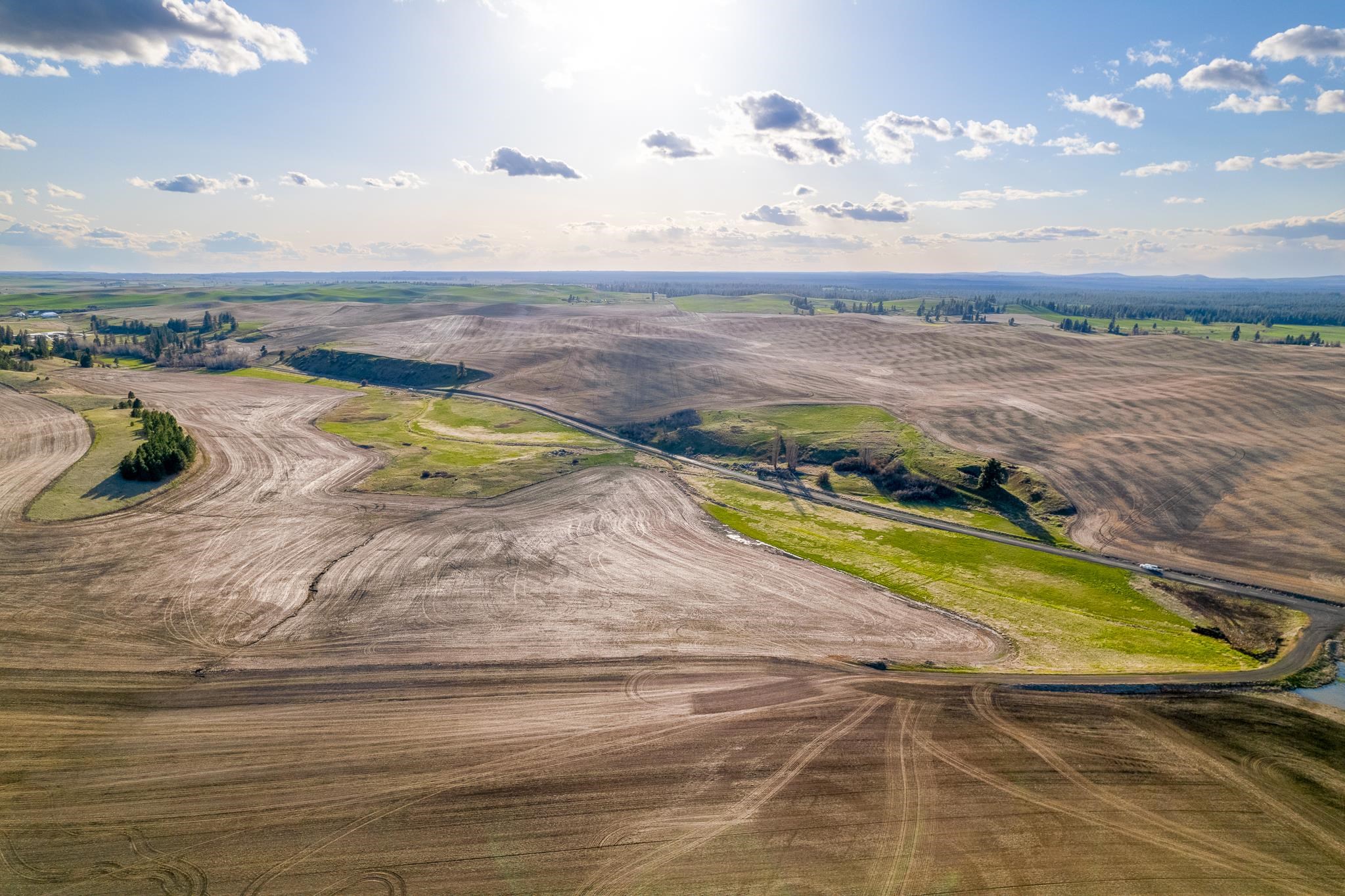 Lot 2 NKA Cheney Spangle Rd - Photo 8