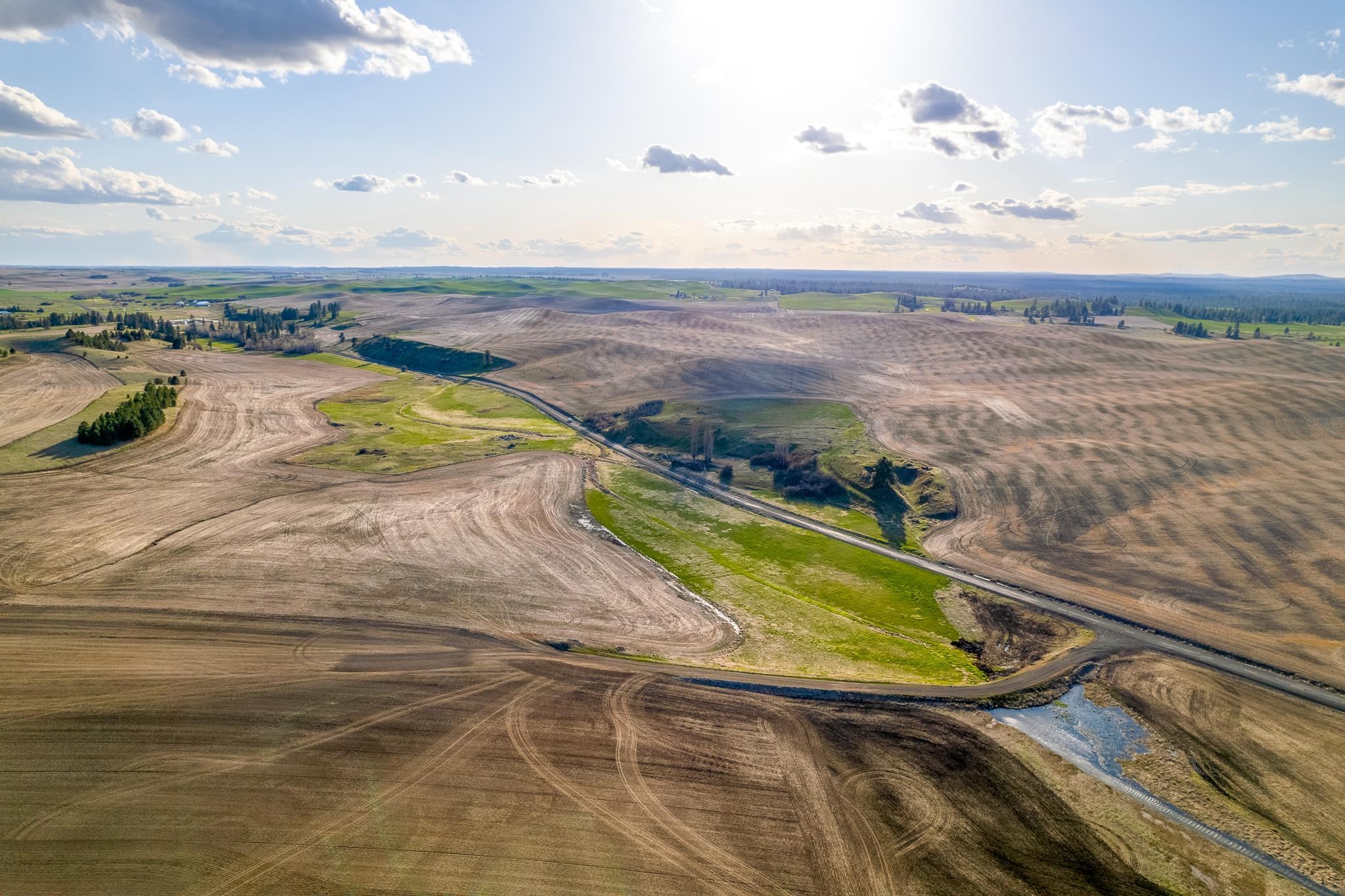 Lot 2 NKA Cheney Spangle Rd - Photo 9