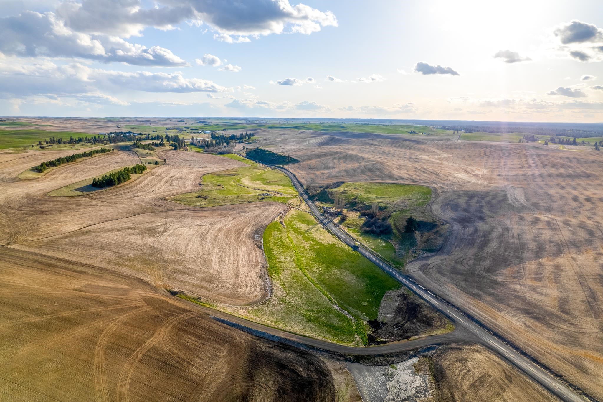 Lot 2 NKA Cheney Spangle Rd - Photo 10