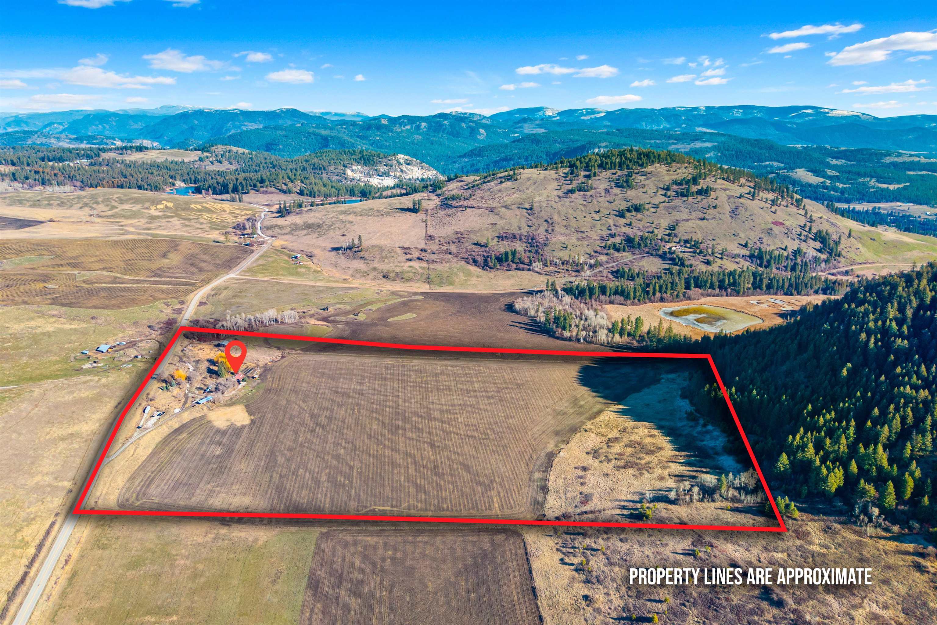 2694 Bridgeman-Rettinger Rd - Photo 28