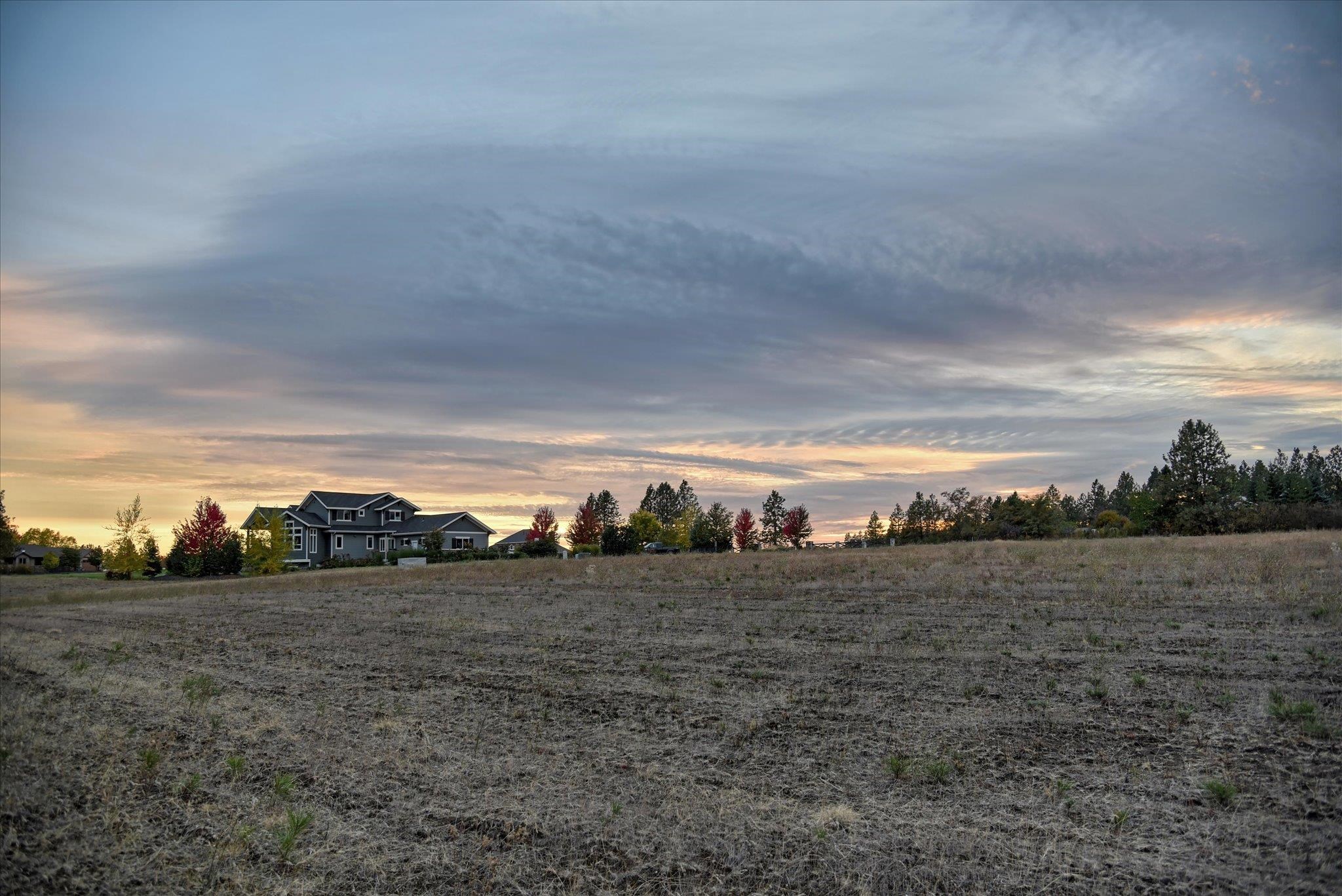 333 W White Rd - Photo 10