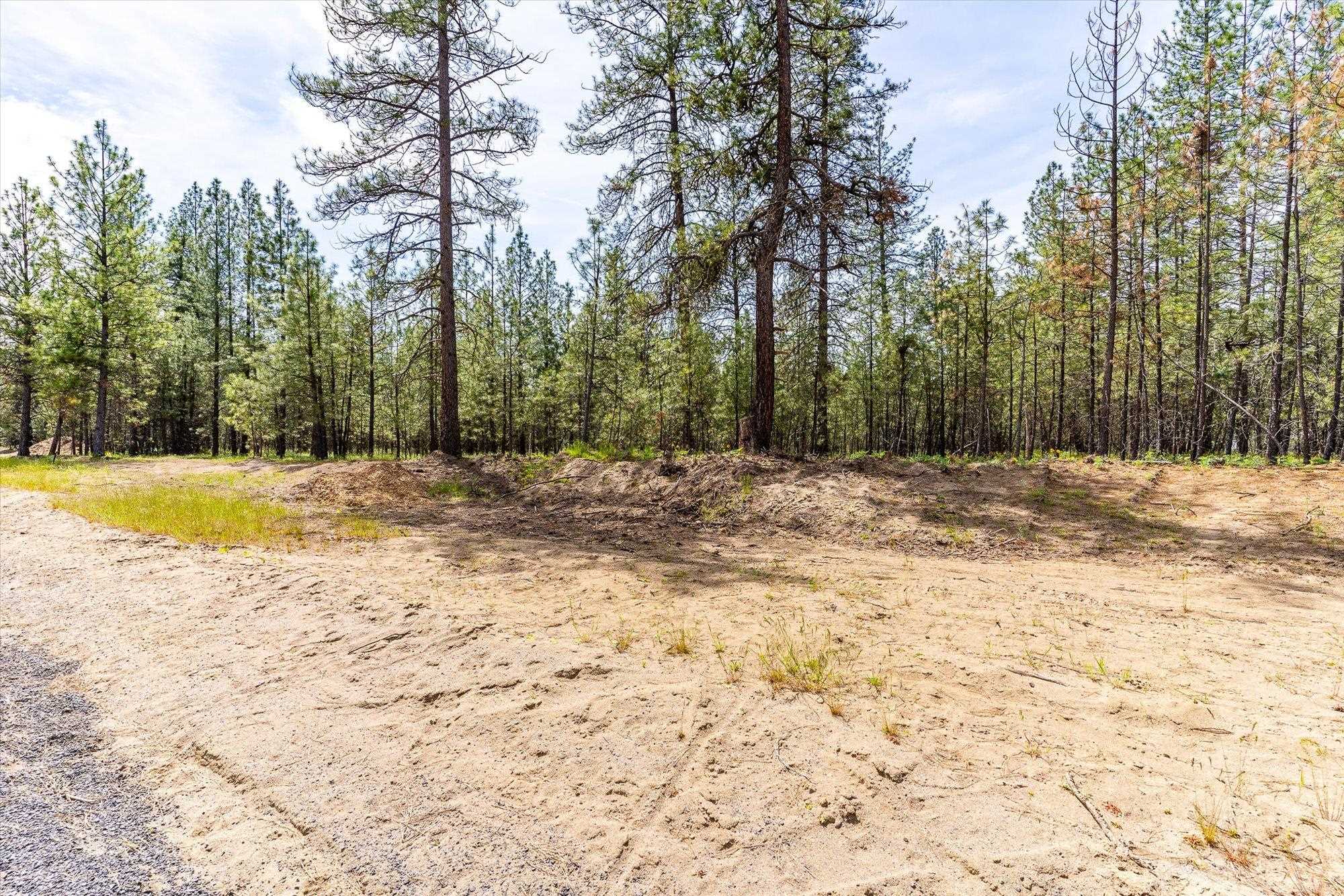 6550 Kate Dr - Photo 12