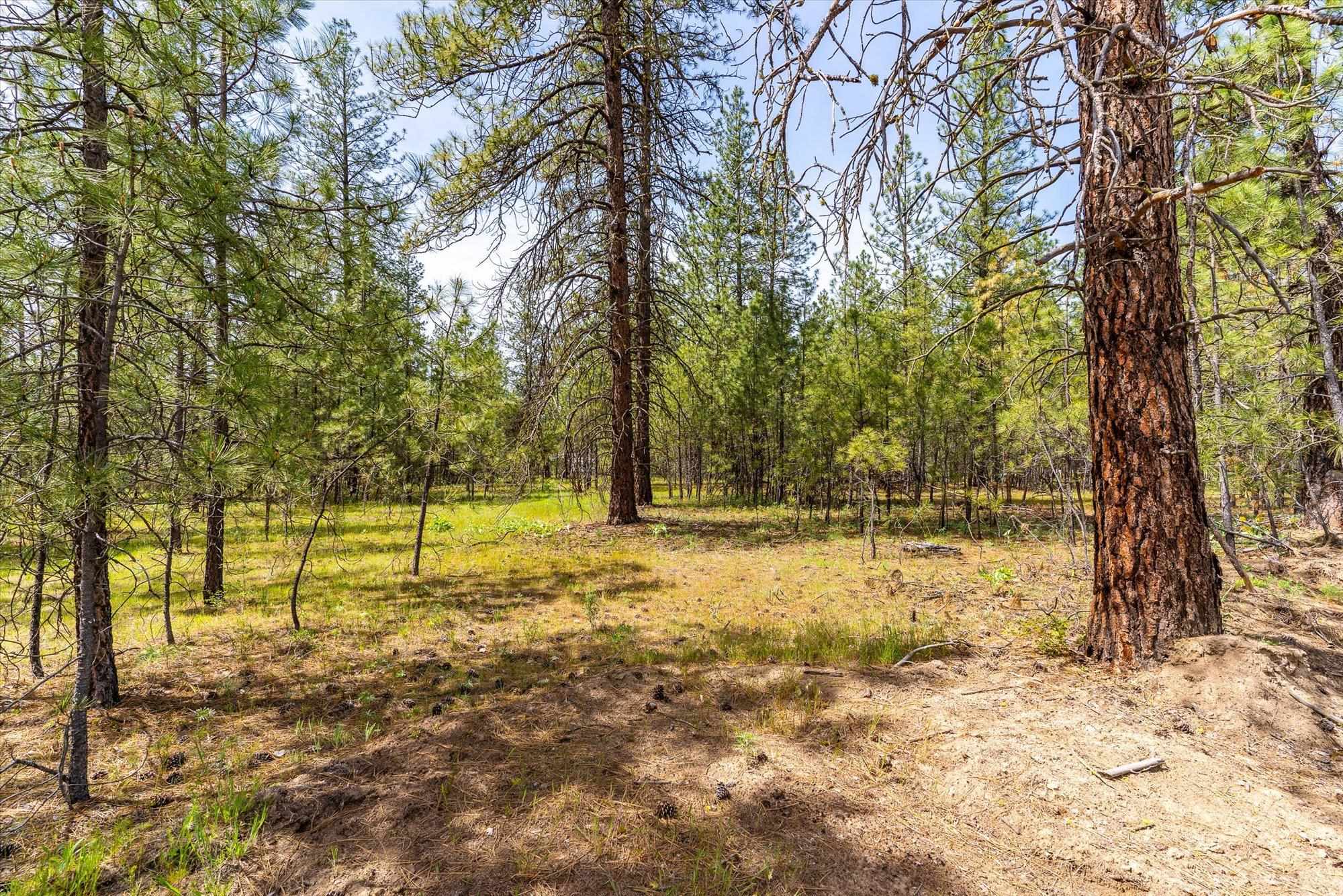 6550 Kate Dr - Photo 13