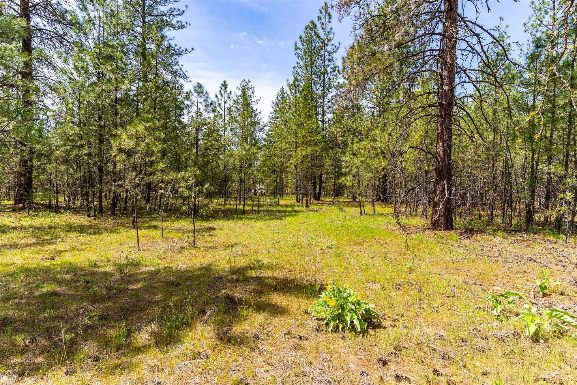 6550 Kate Dr - Photo 14