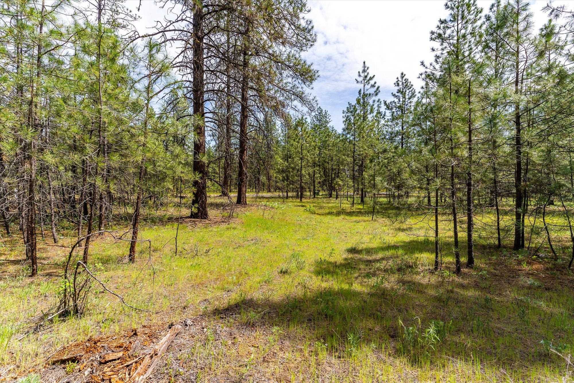 6550 Kate Dr - Photo 15