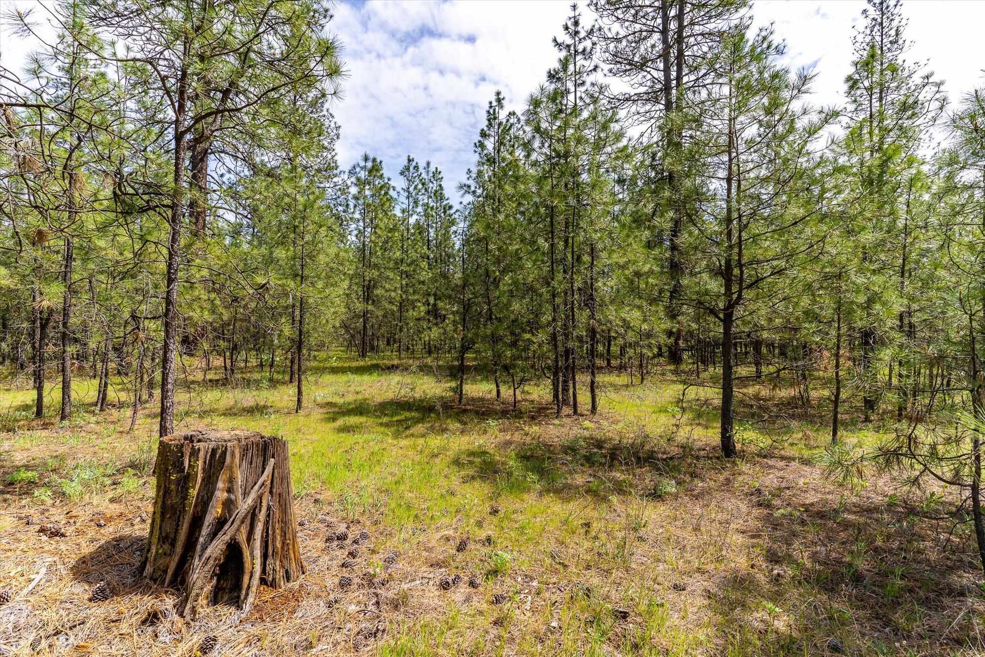 6550 Kate Dr - Photo 16