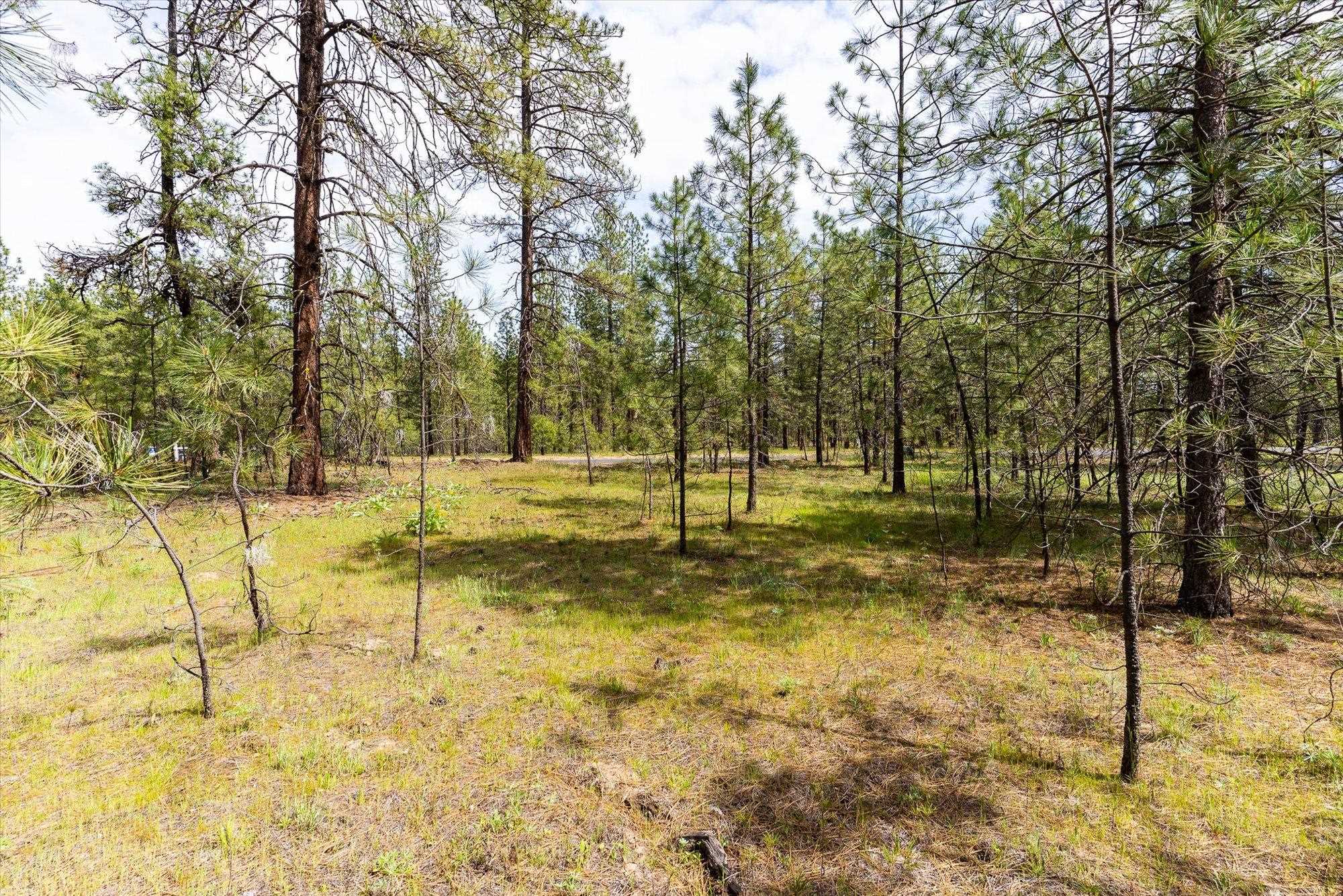 6550 Kate Dr - Photo 17