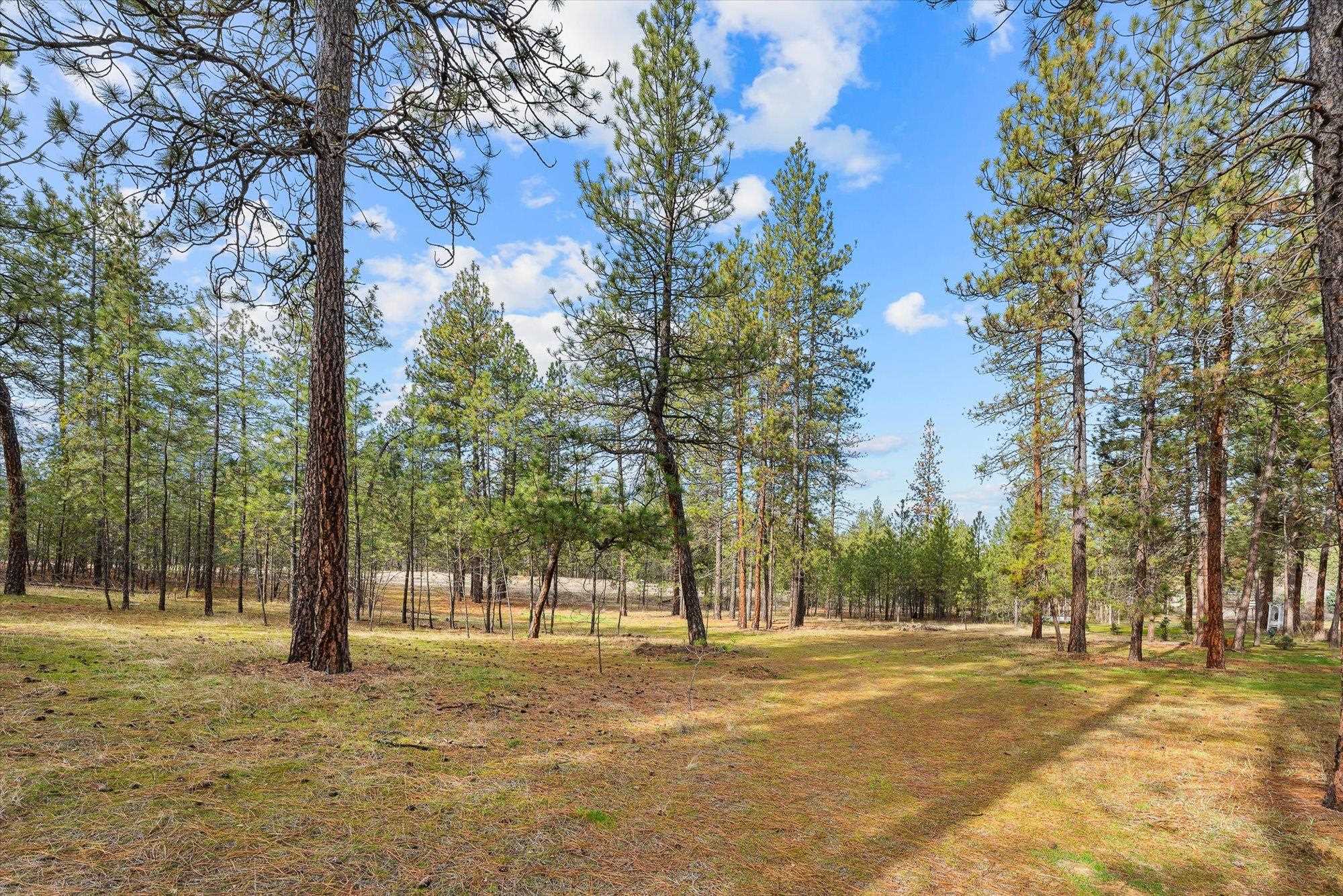 6551 Kate Dr - Photo 3