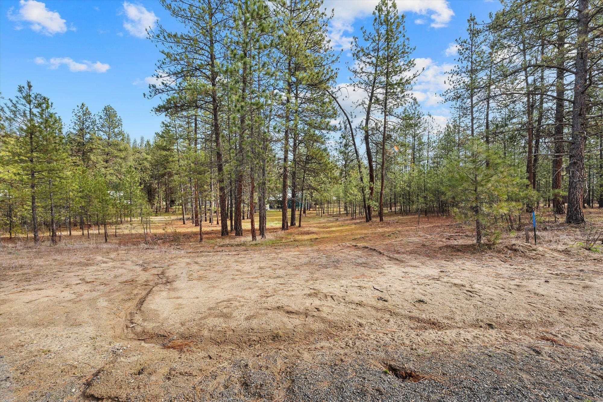 6551 Kate Dr - Photo 4
