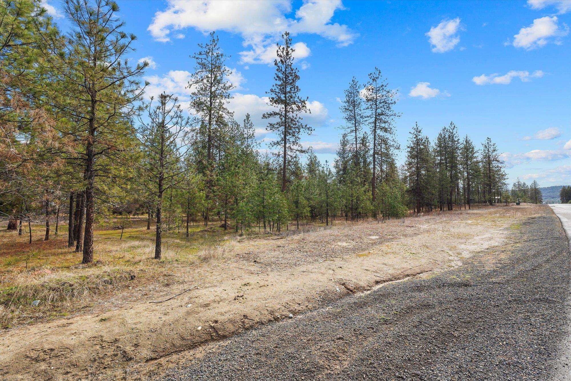 6551 Kate Dr - Photo 5