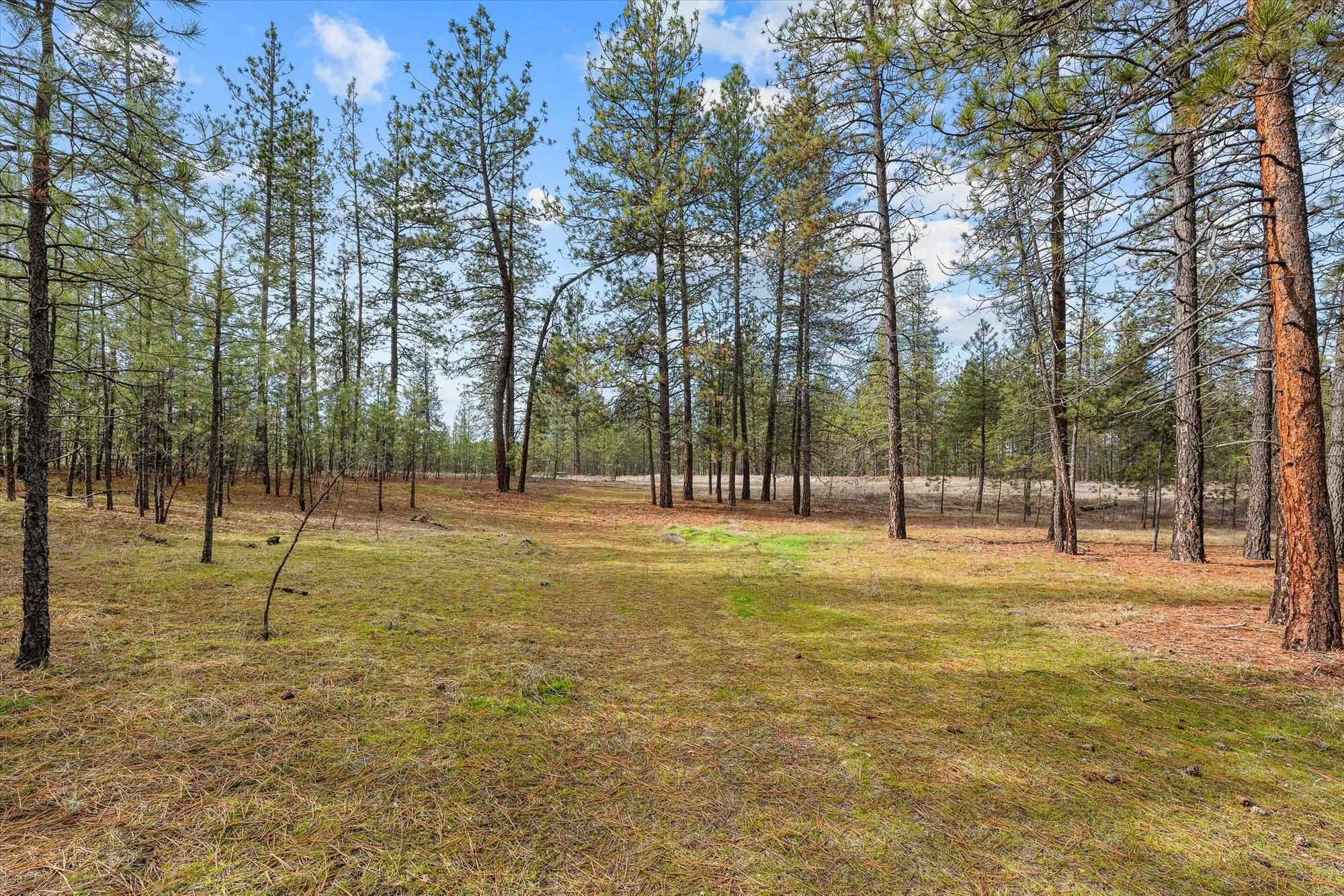 6555 Kate Dr Dr - Photo 6