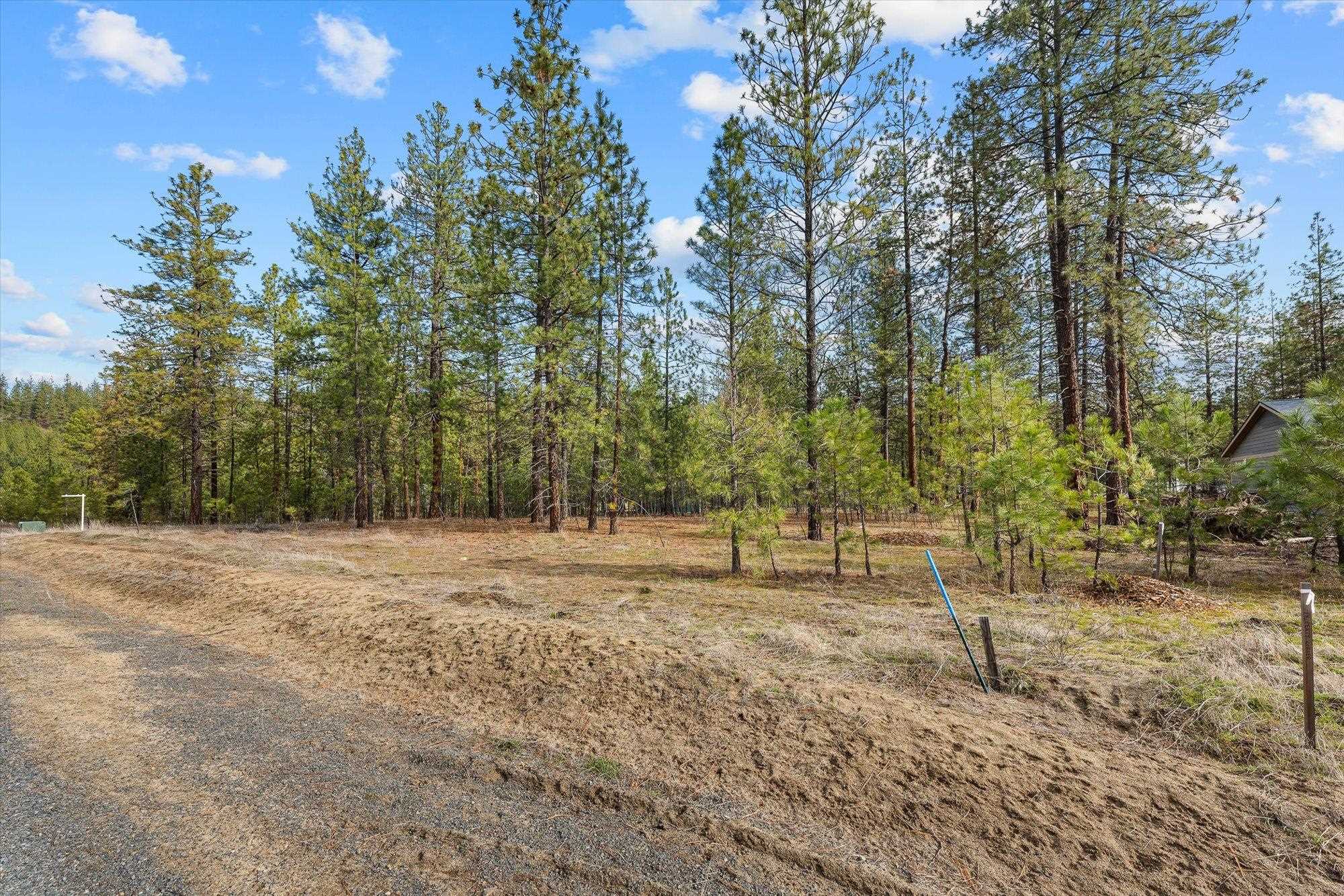 6555 Kate Dr Dr - Photo 8