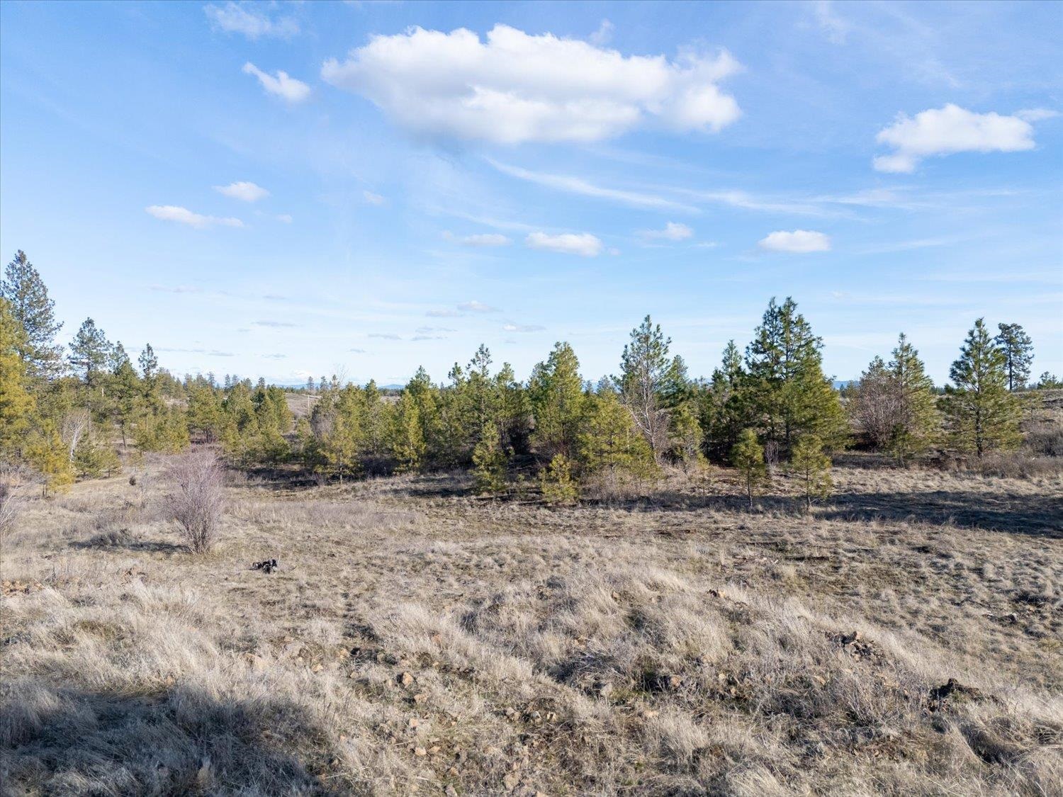 4608 N Whispering Pines Ln - Photo 23