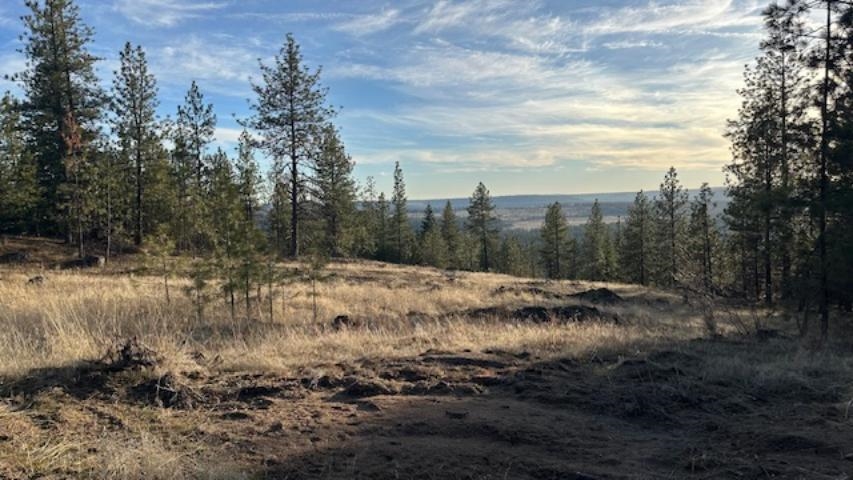 NKA Landon Ln - Photo 1