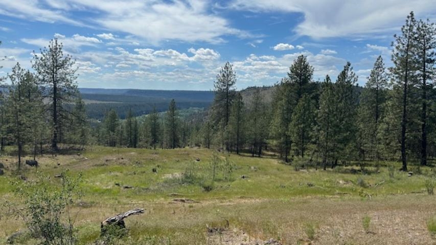 NKA Landon Ln - Photo 11