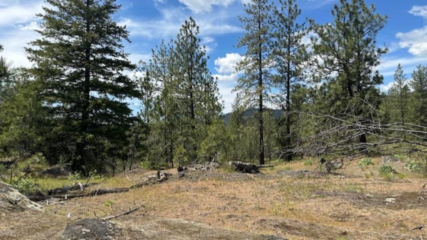 NKA Landon Ln - Photo 5