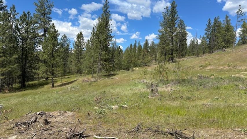 NKA Landon Ln - Photo 6