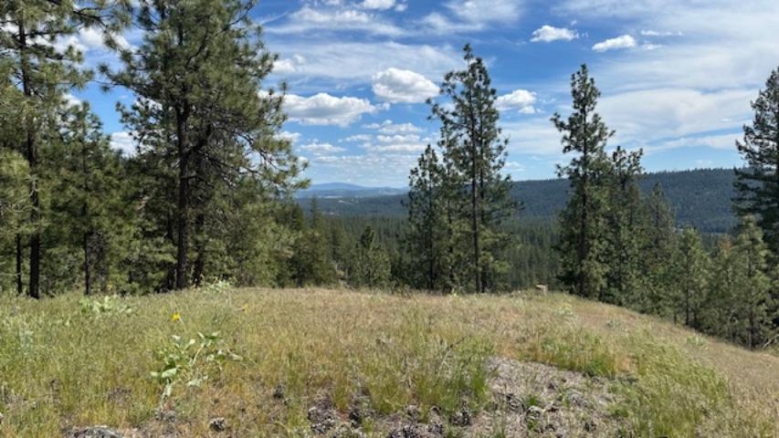 NKA Landon Ln - Photo 7
