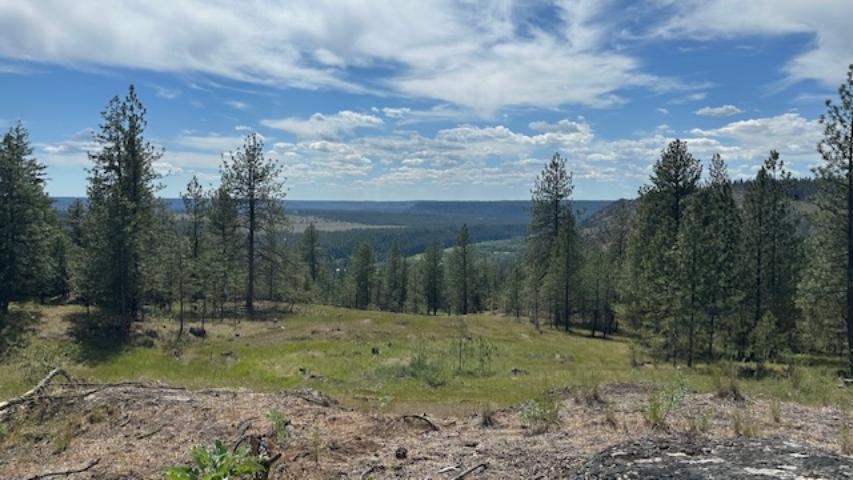 NKA Landon Ln - Photo 9